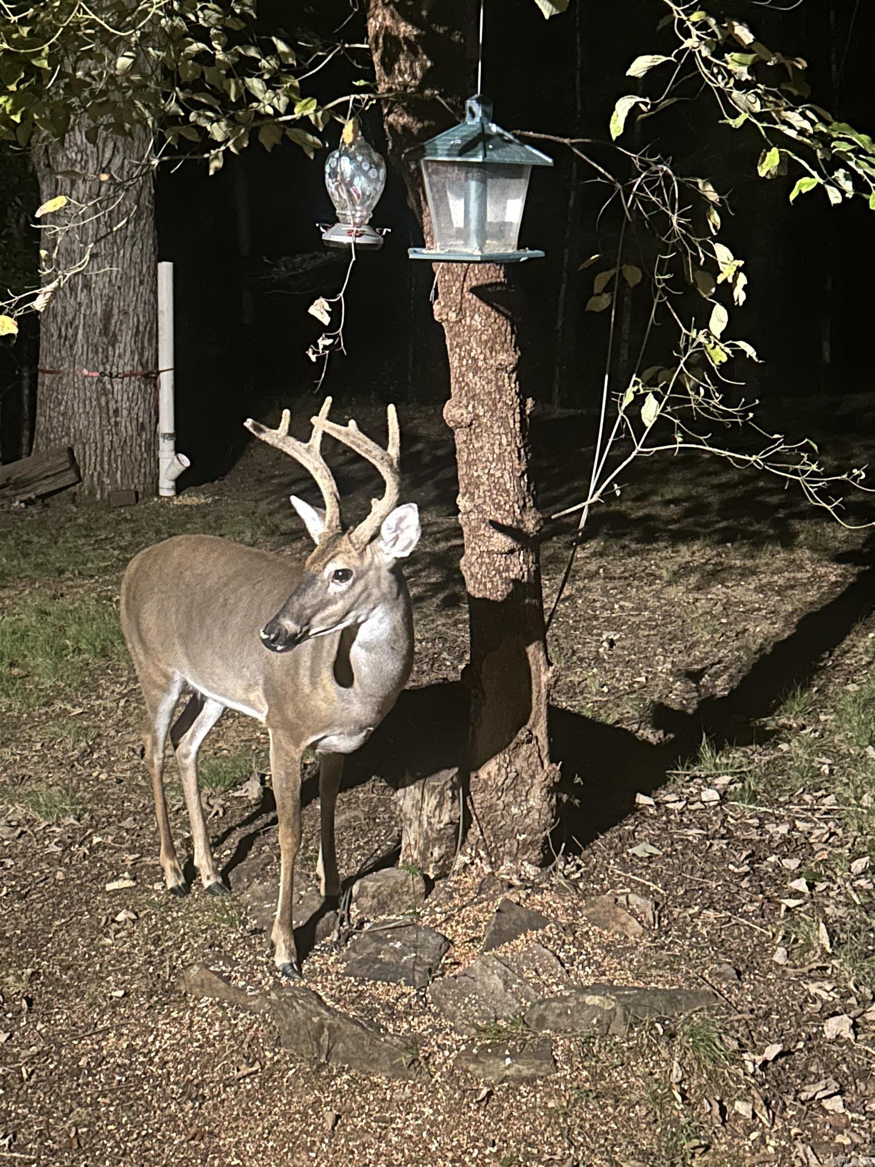 TBD Moss  Benton, AR