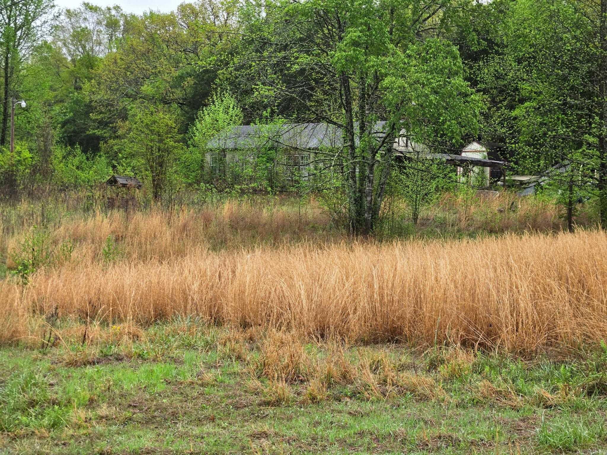 33 W Martin  Greenbrier, AR