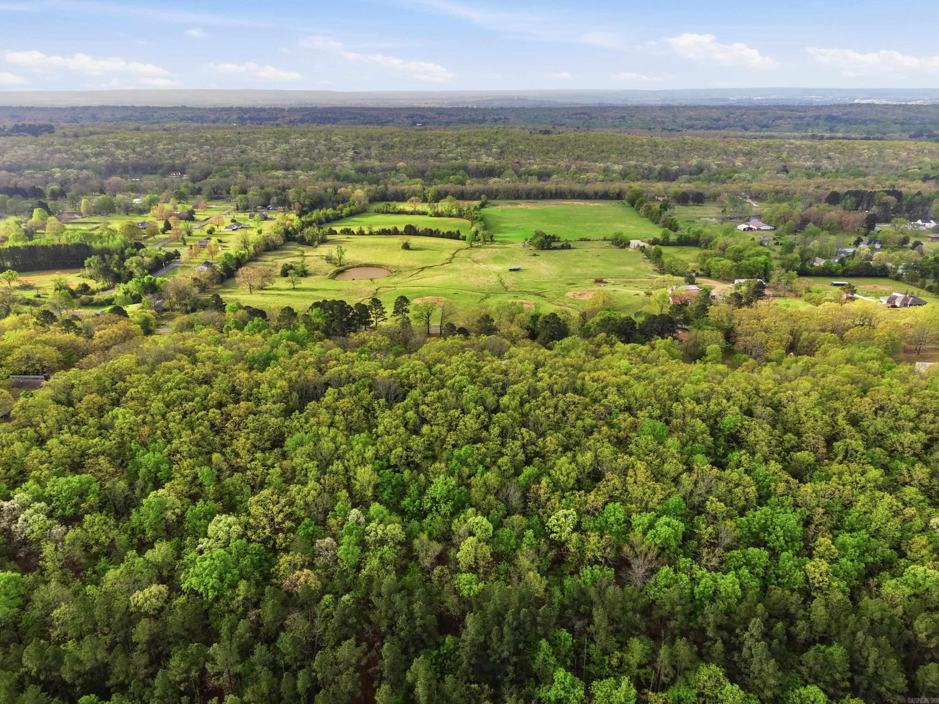 175 Acklin Gap Road  Conway, AR