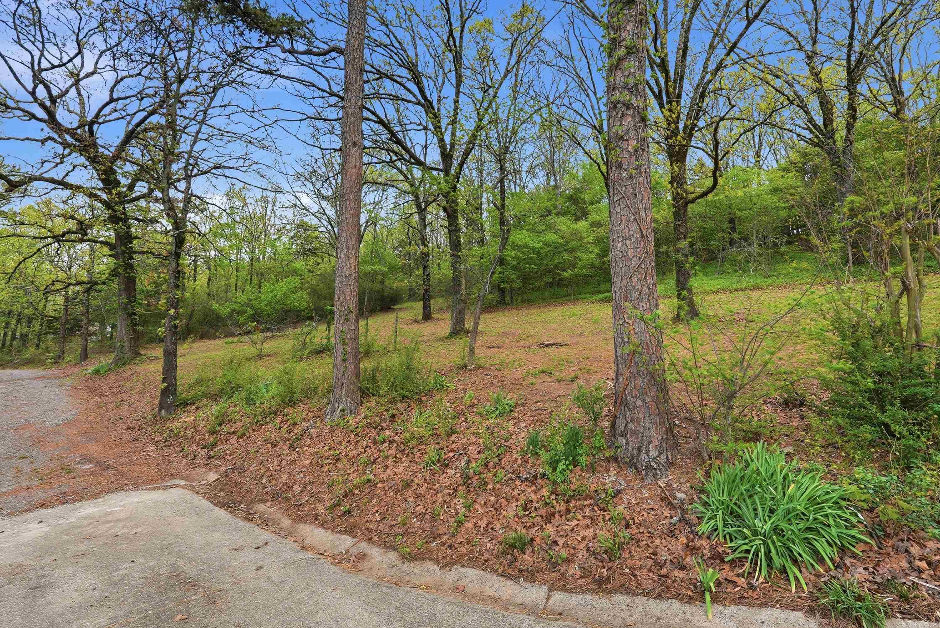 175 Acklin Gap Road  Conway, AR