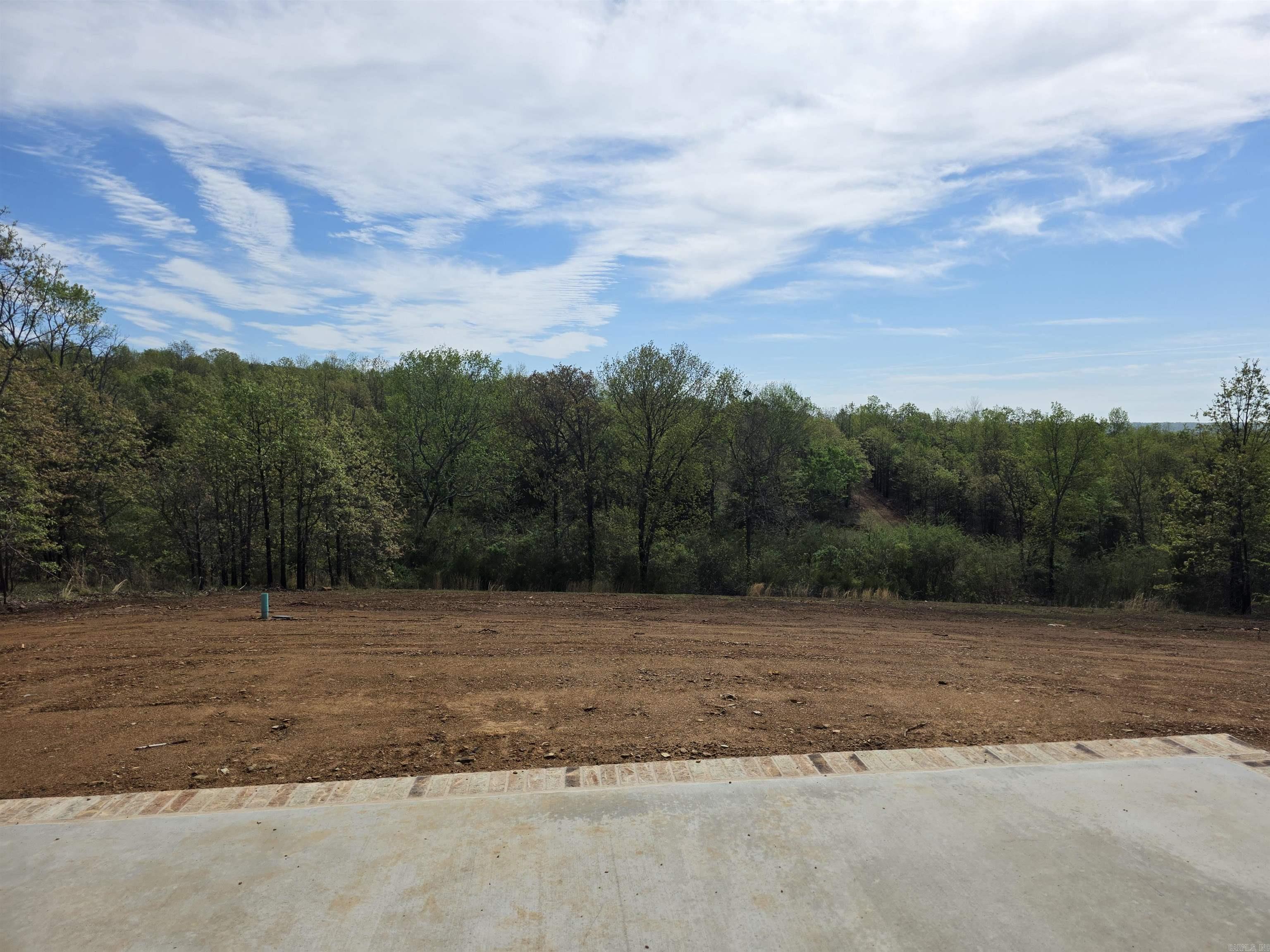 81 Summer Sky Drive Greenbrier, AR 72058