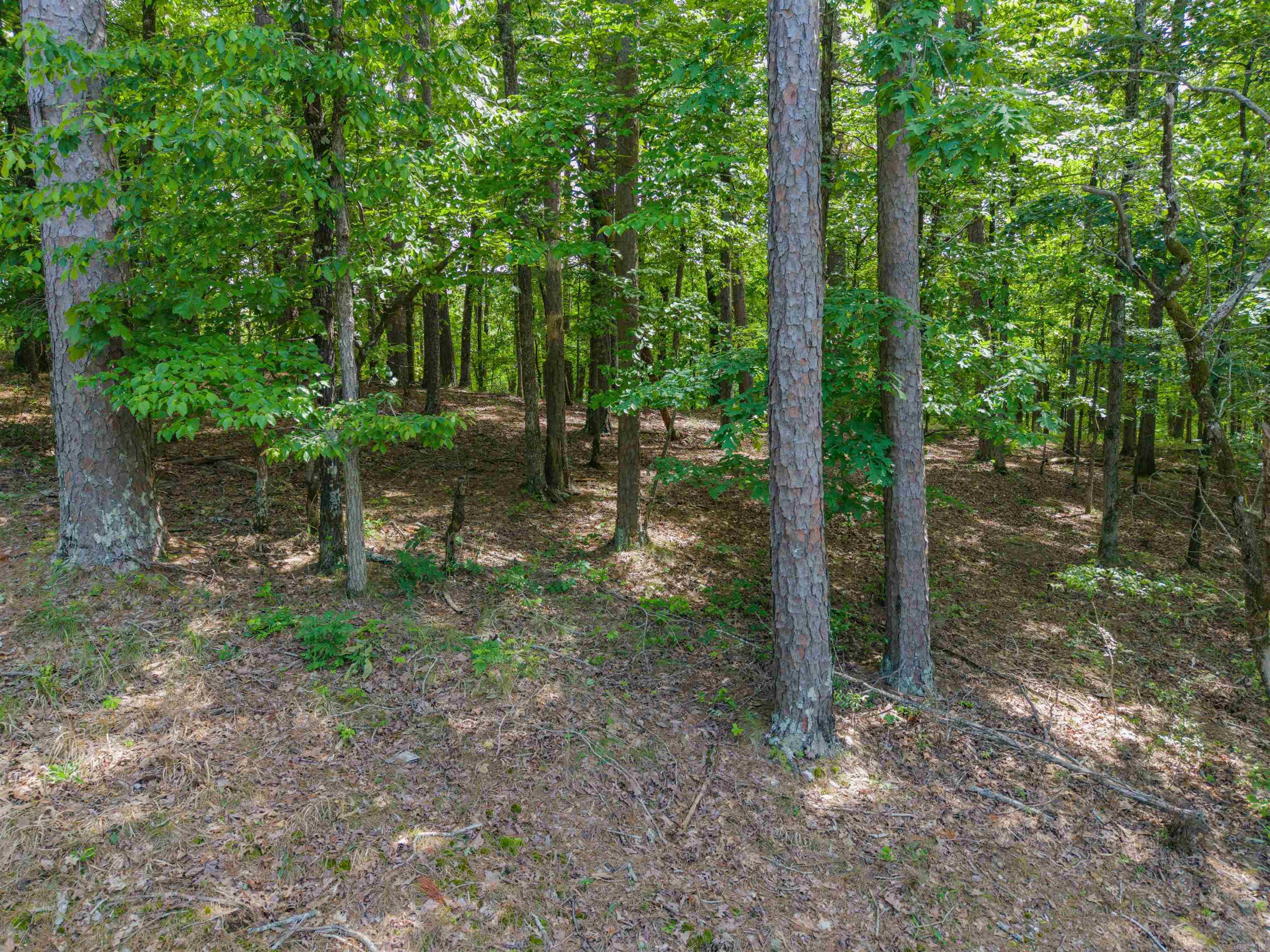 TBD Independence LOT 350A Hot Springs, AR