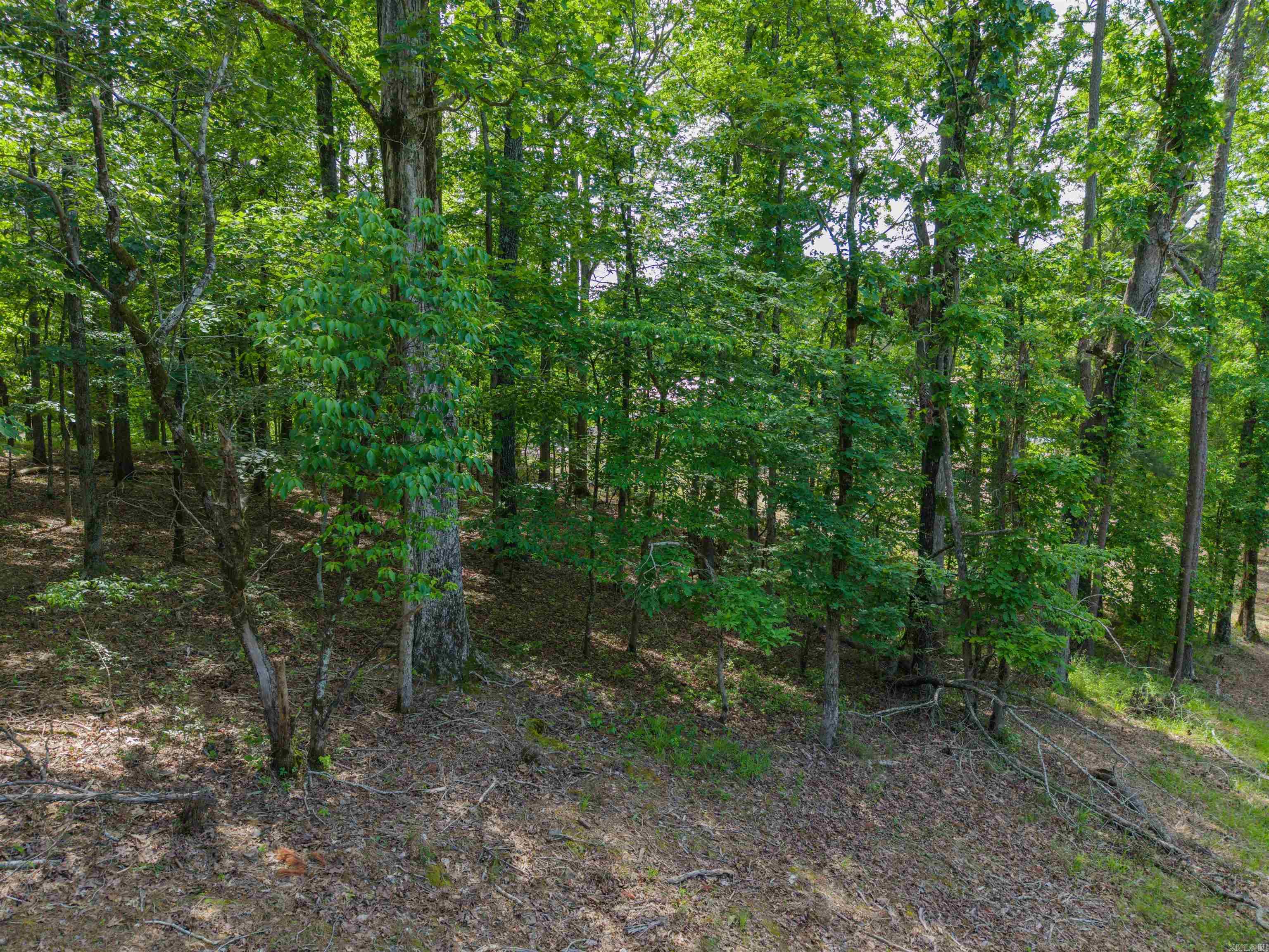 TBD Independence LOT 350A Hot Springs, AR