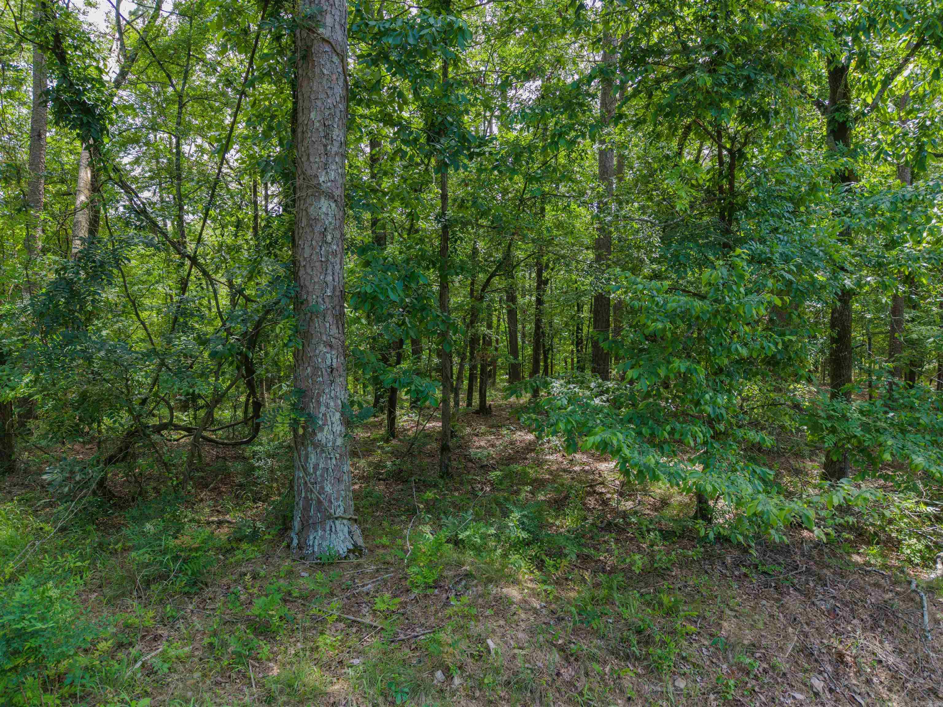 TBD Independence LOT 350A Hot Springs, AR