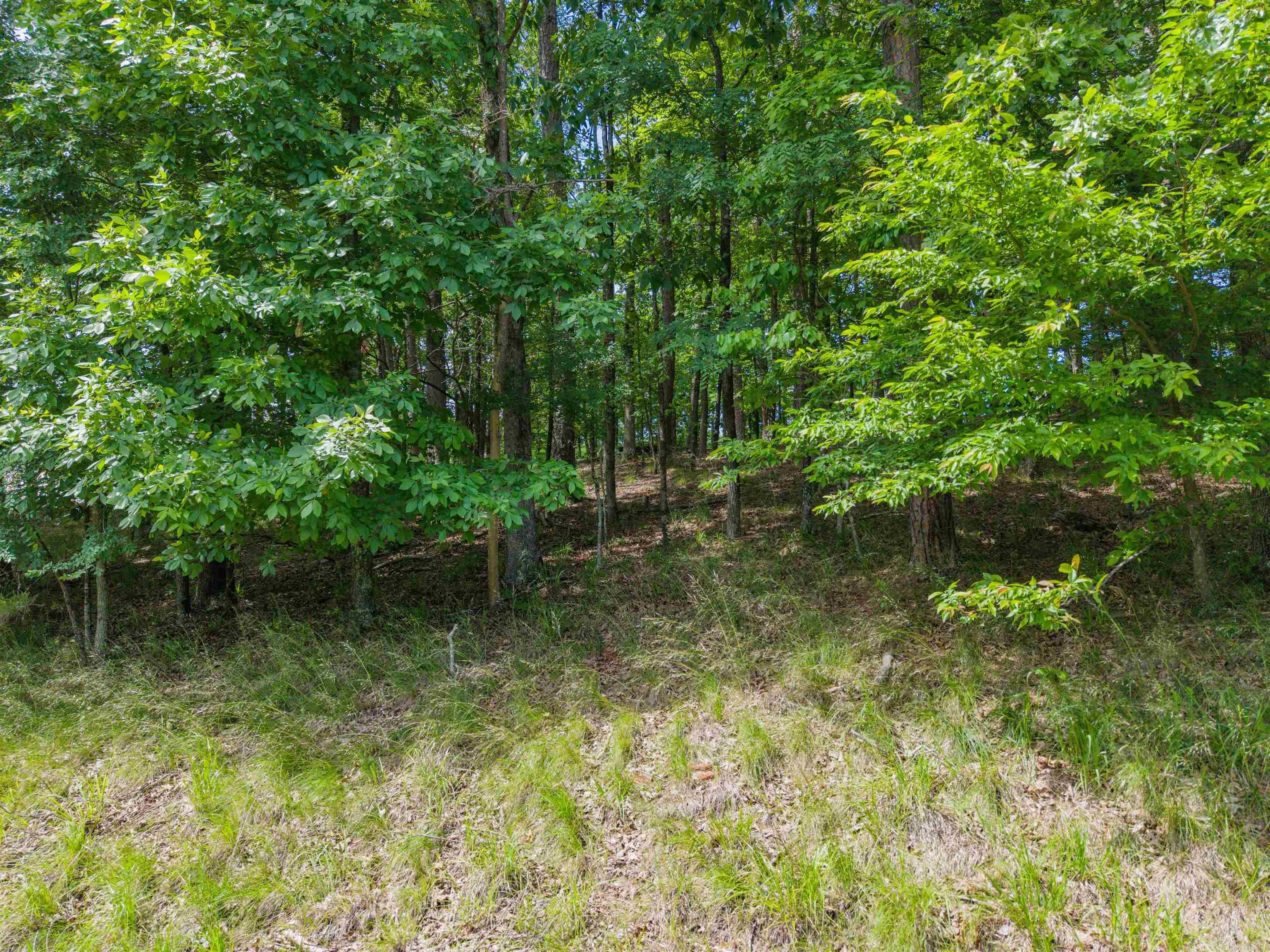 TBD Independence LOT 350A Hot Springs, AR