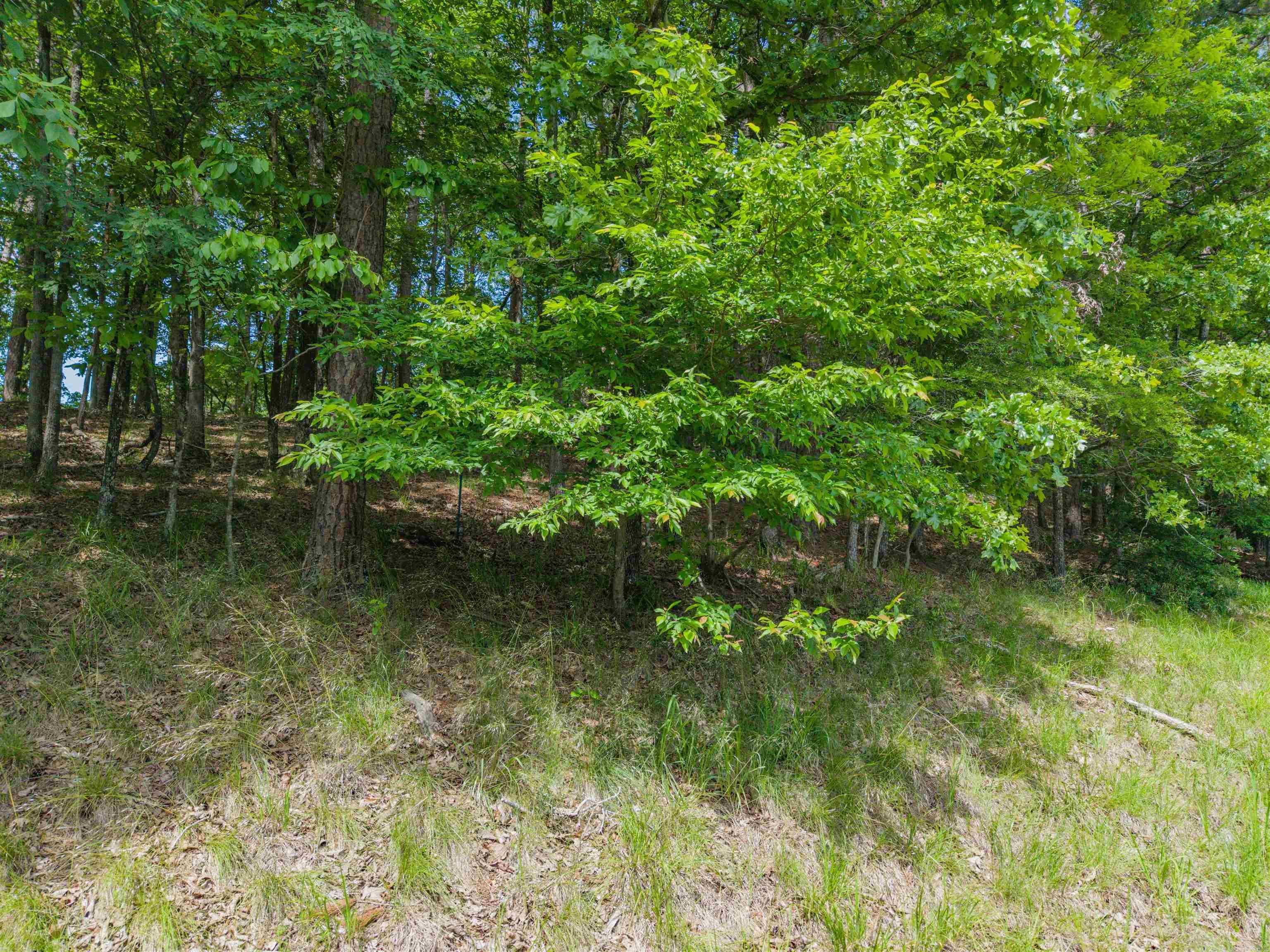 TBD Independence LOT 350A Hot Springs, AR