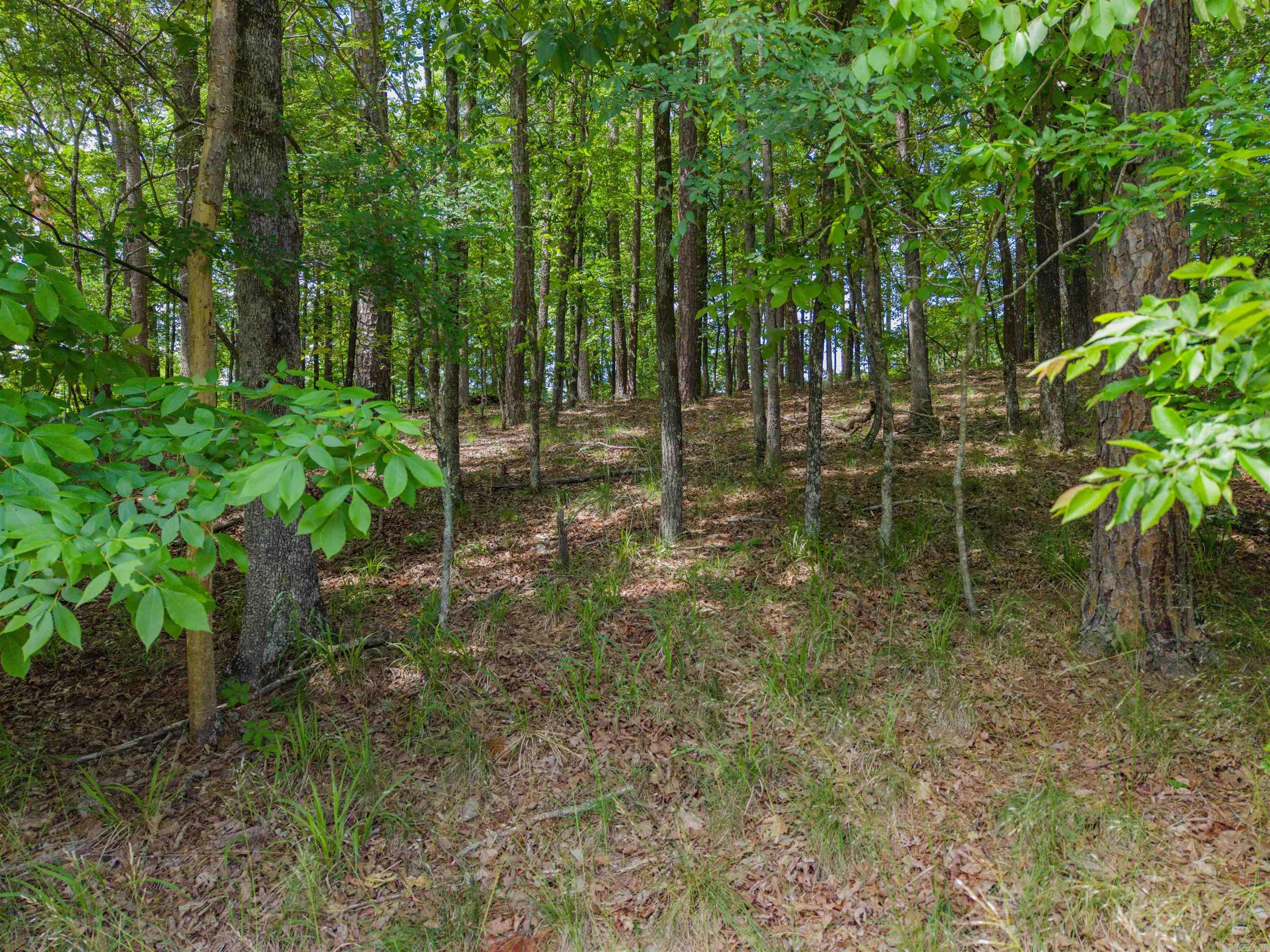 TBD Independence LOT 350A Hot Springs, AR