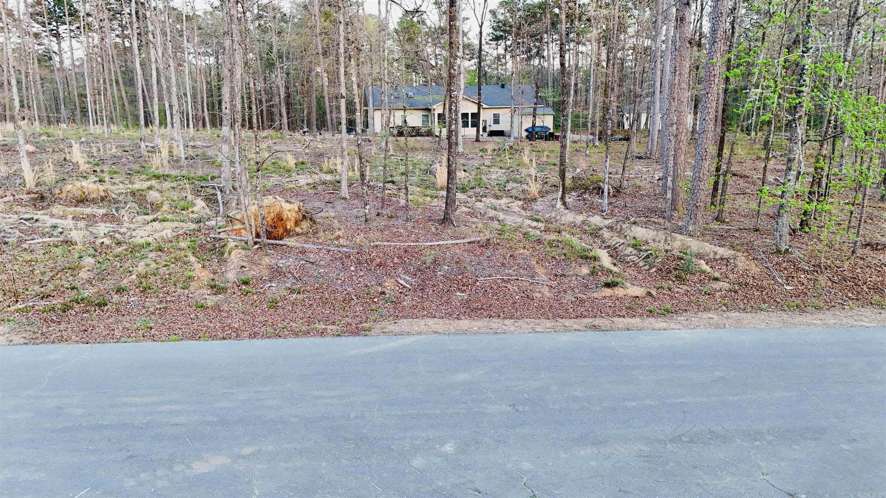 00 Cartaya  Hot Springs Village, AR