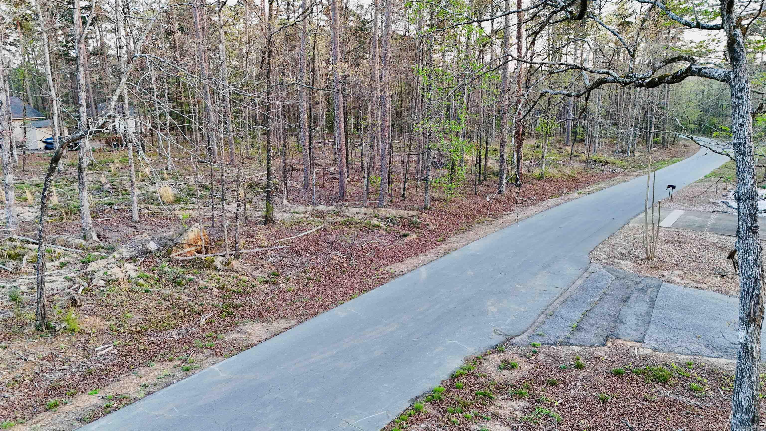 00 Cartaya  Hot Springs Village, AR