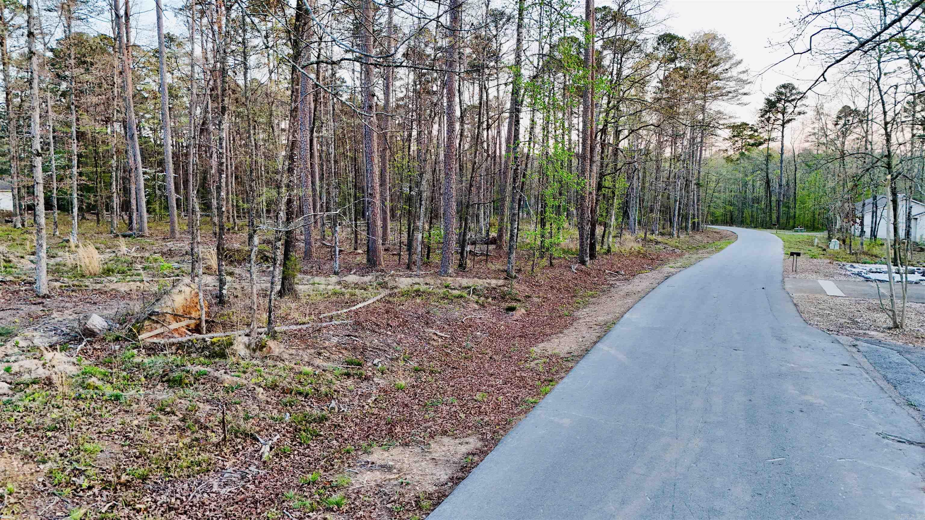 00 Cartaya  Hot Springs Village, AR