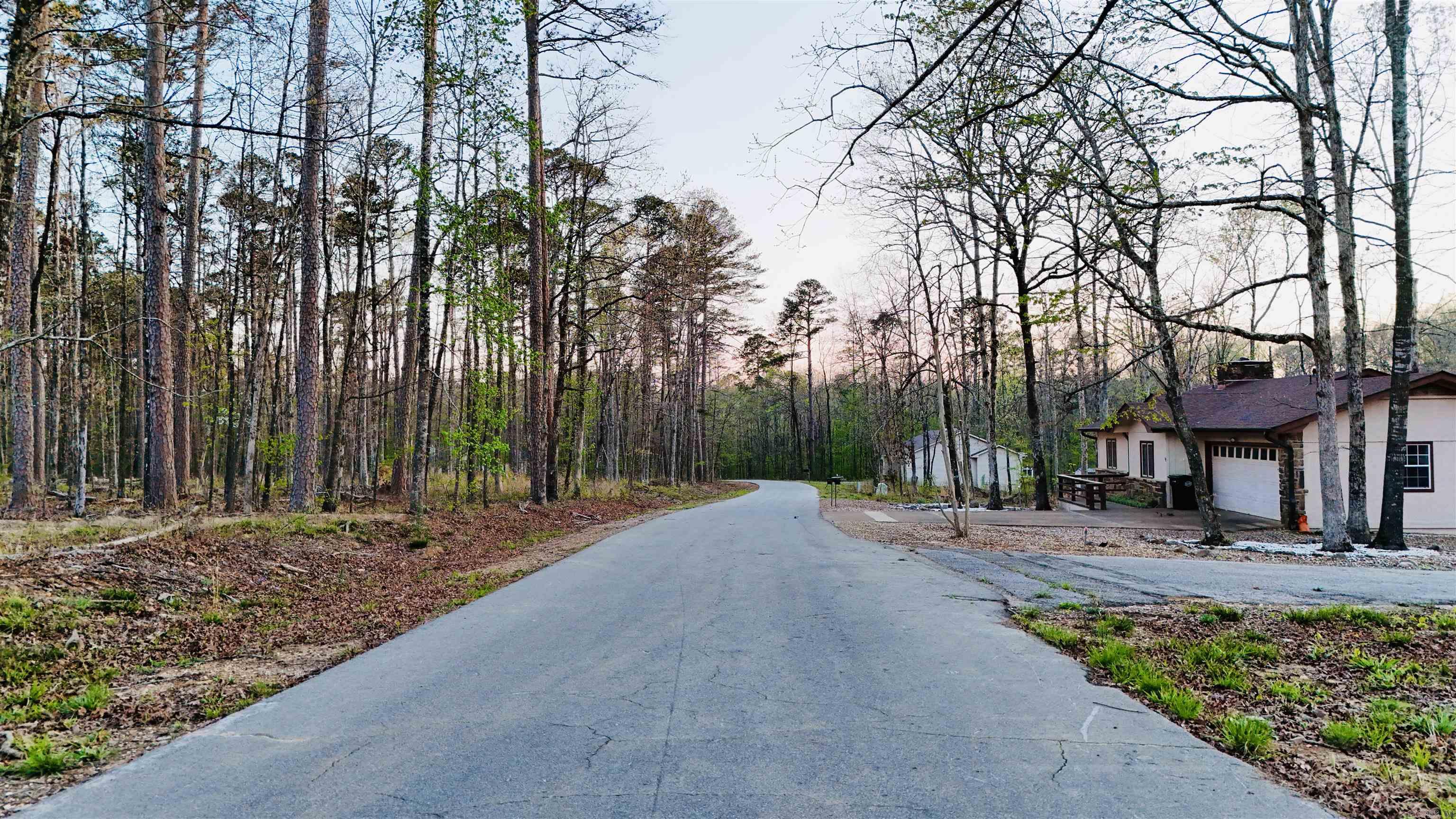 00 Cartaya  Hot Springs Village, AR