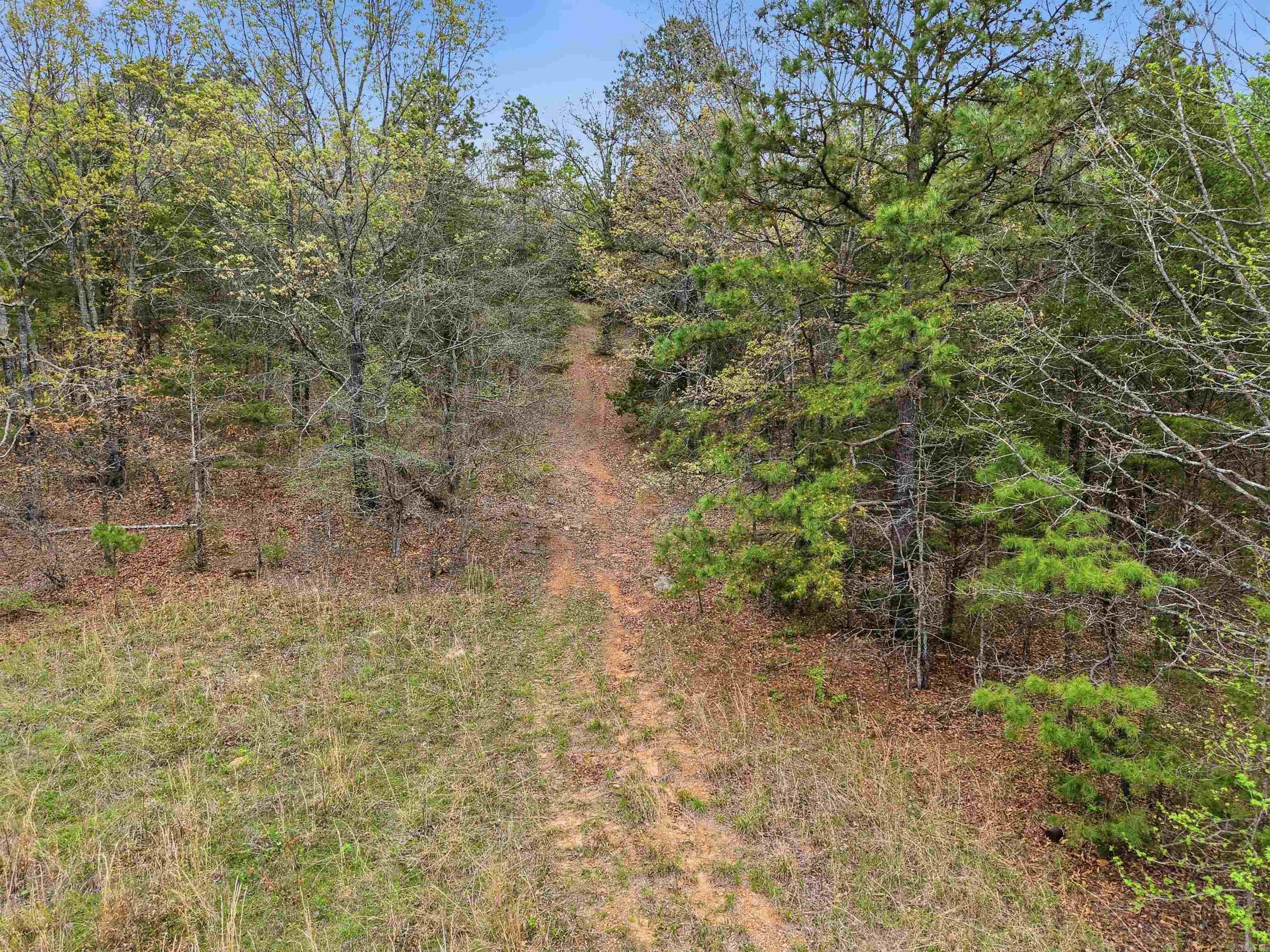 158 Heart Drive  Springfield, AR