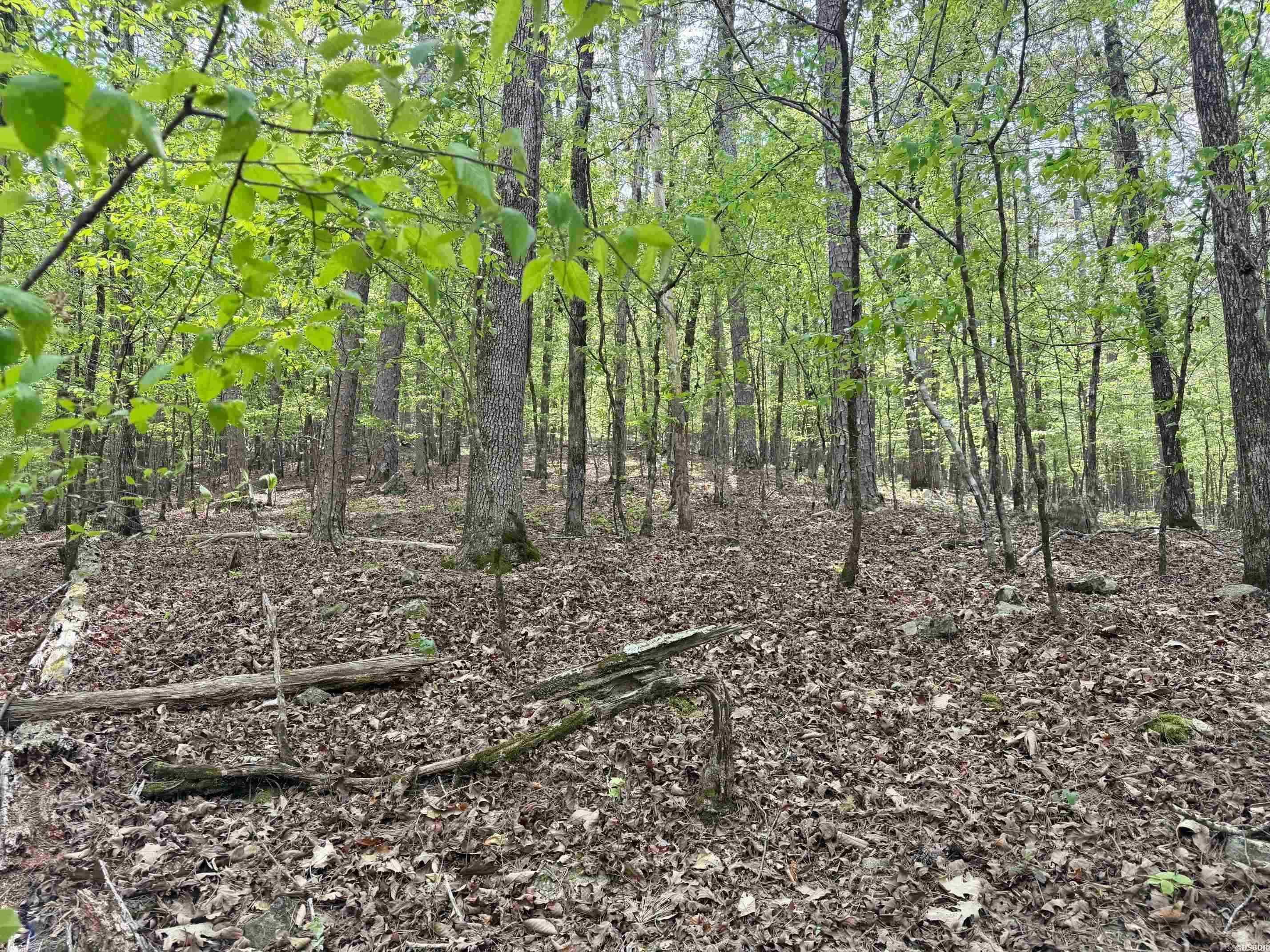 000 Lake Ouachita  Hot Springs, AR