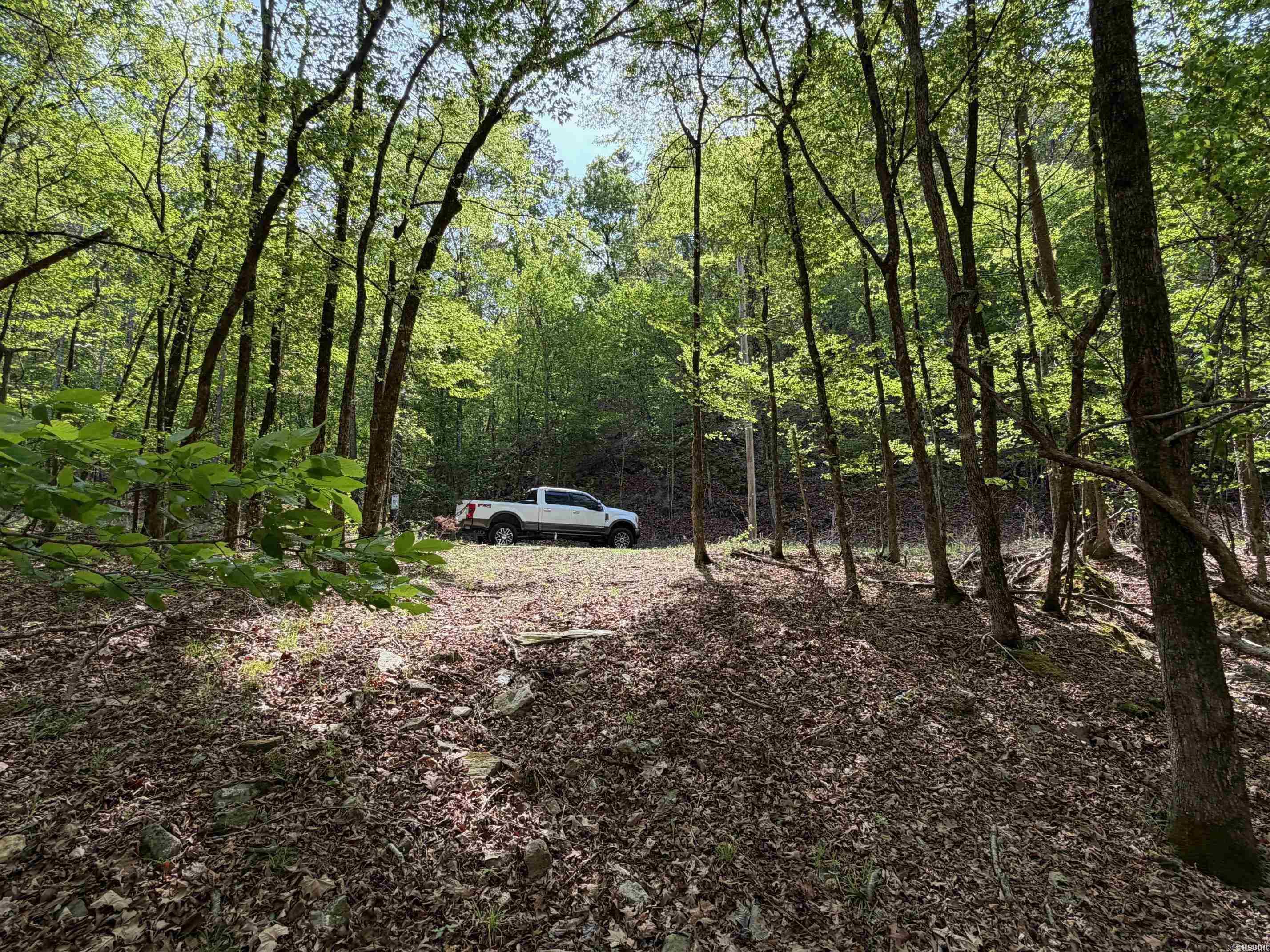 000 Lake Ouachita  Hot Springs, AR