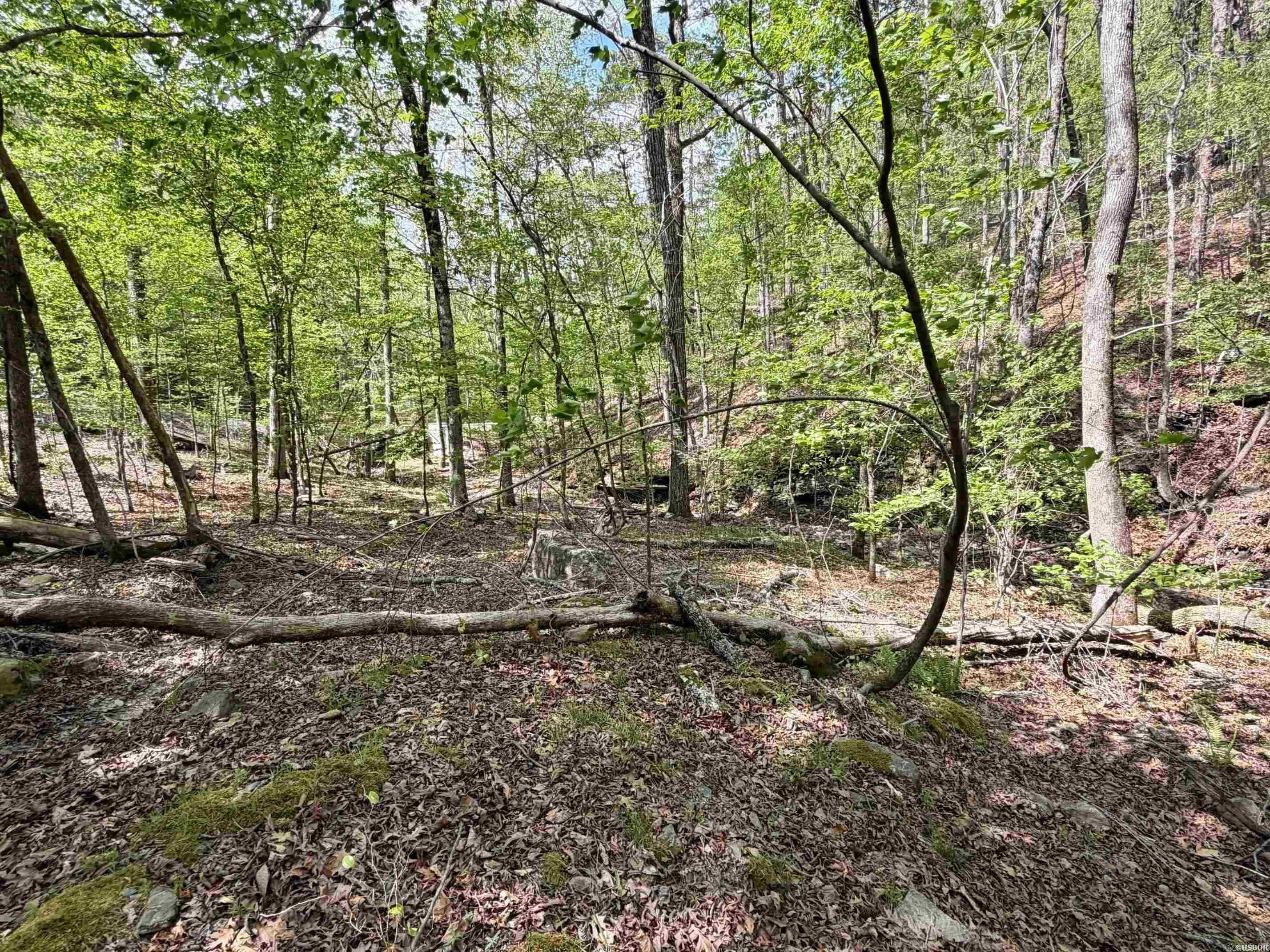 000 Lake Ouachita  Hot Springs, AR