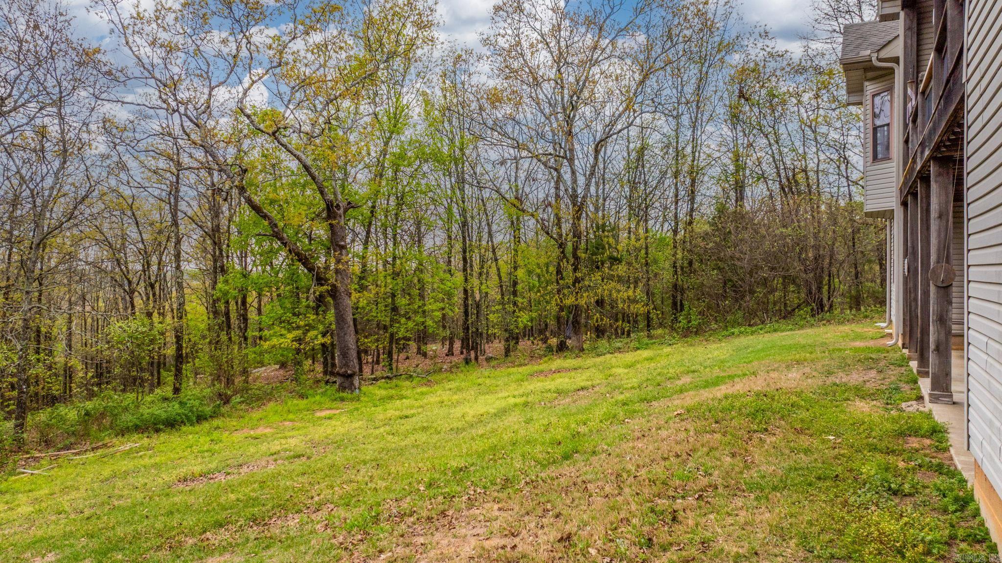 90 Hayes Hill  Conway, AR