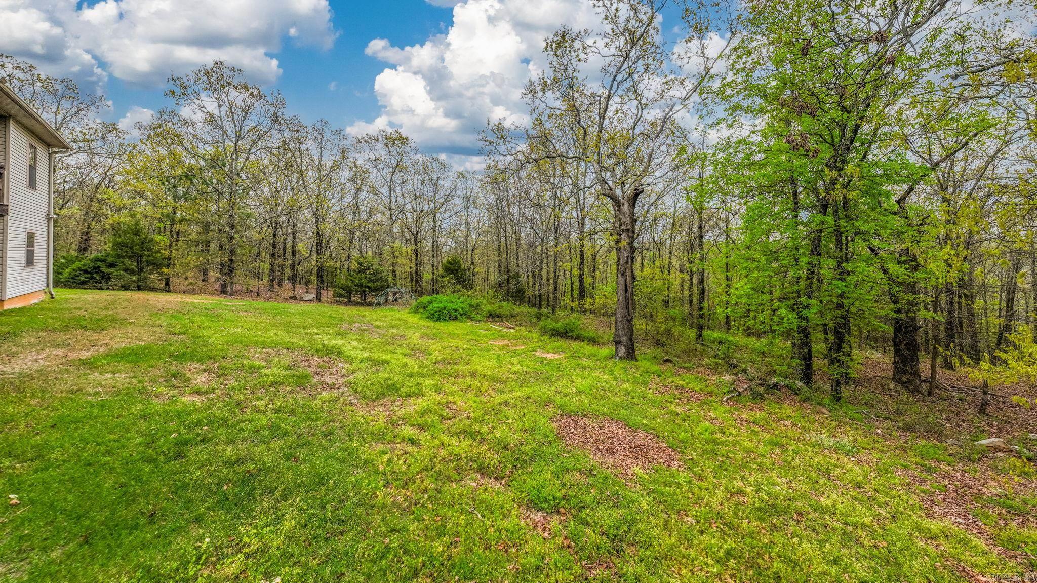 90 Hayes Hill  Conway, AR