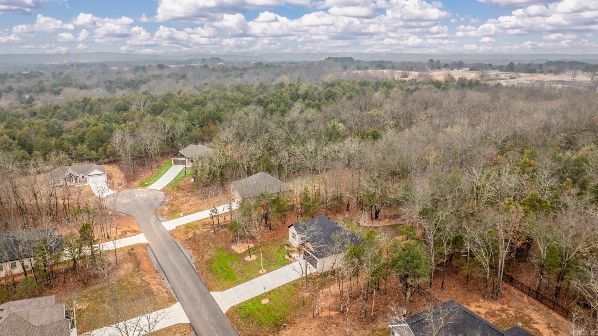 36 Sky Eagle  Greenbrier, AR