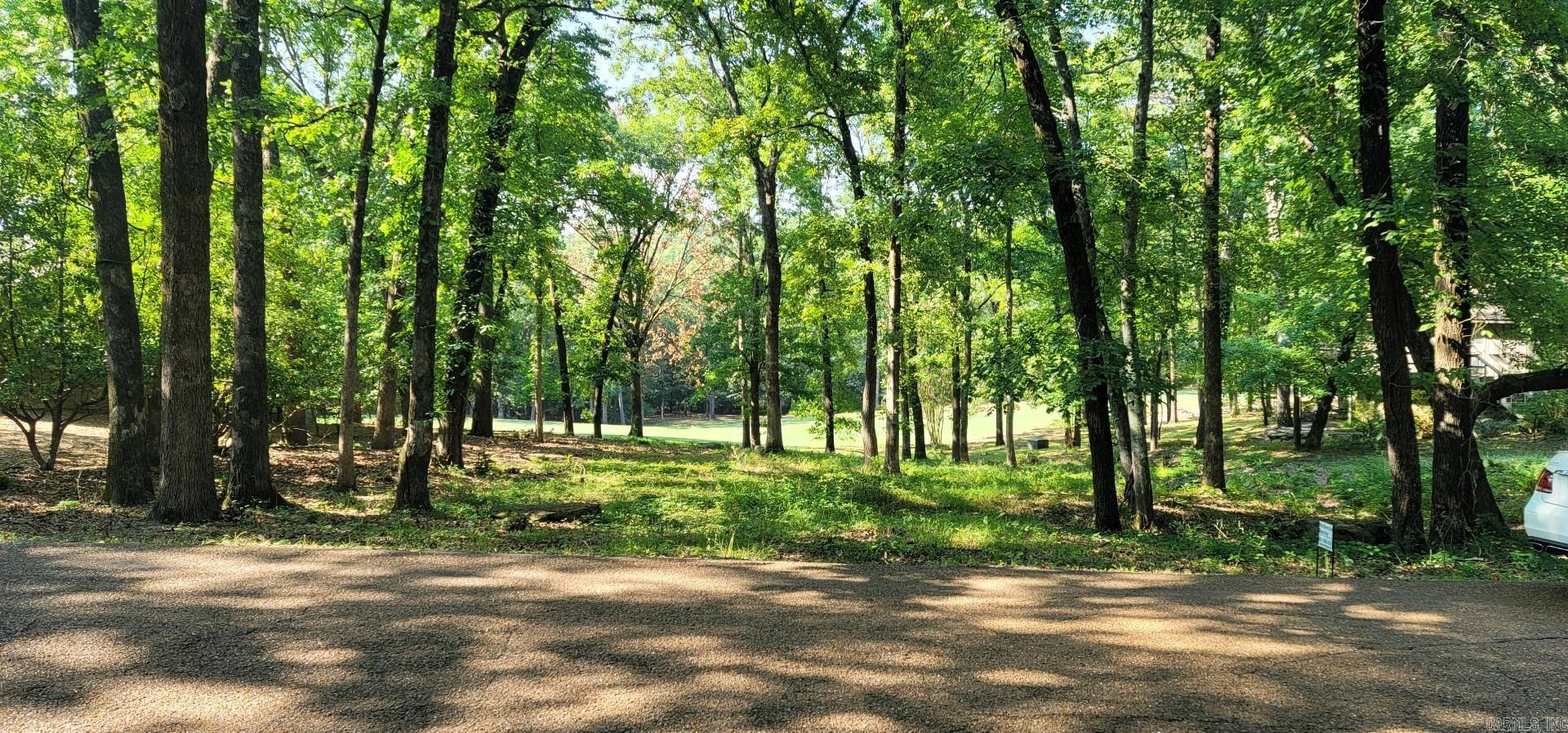 Lot 11 Birchbrook - Eden Isle  Heber Springs, AR