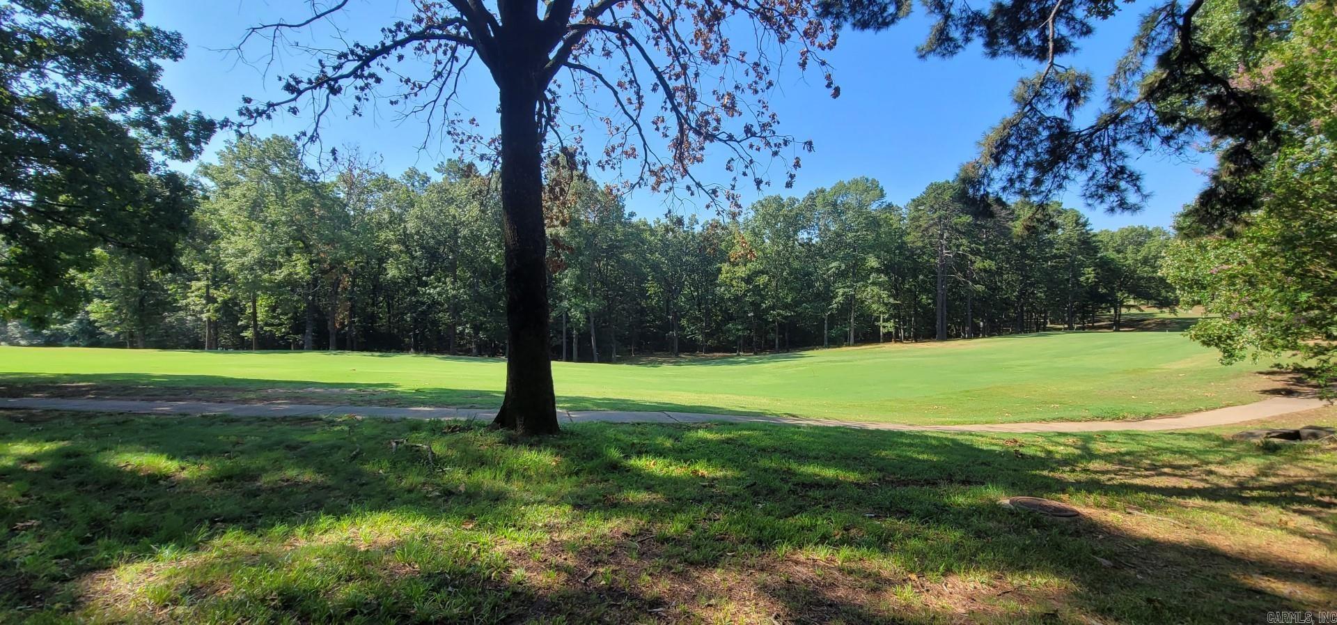 Lot 11 Birchbrook - Eden Isle  Heber Springs, AR