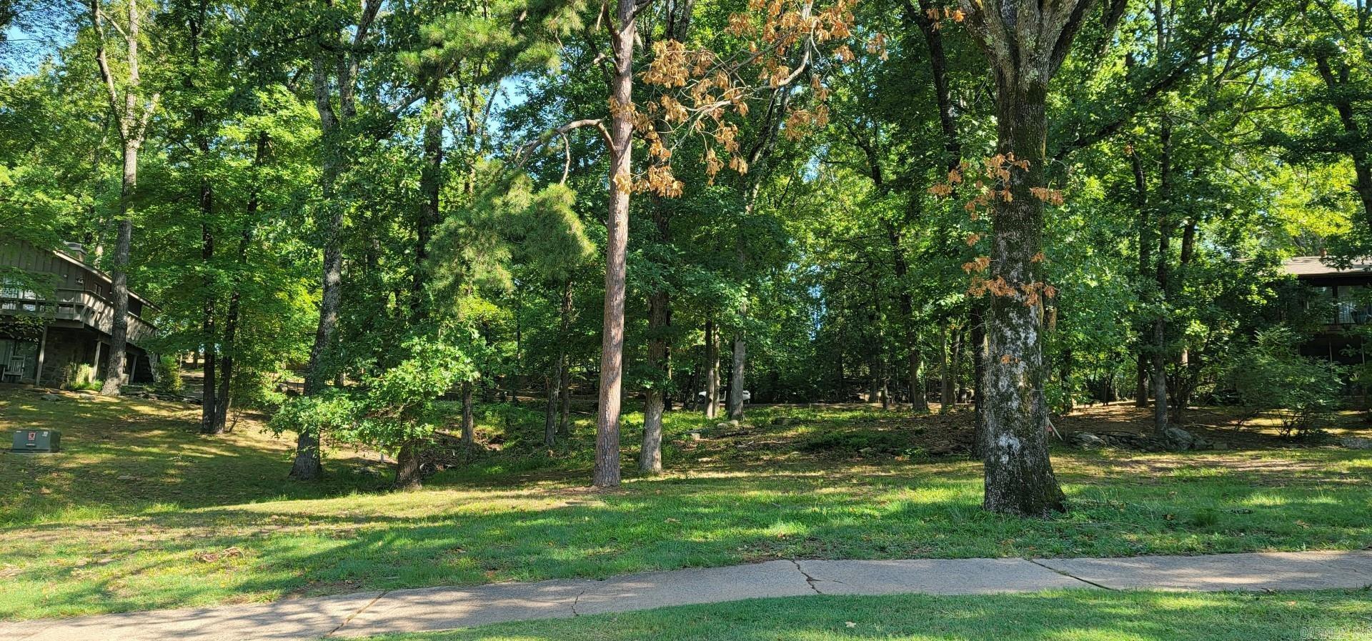 Lot 11 Birchbrook - Eden Isle  Heber Springs, AR