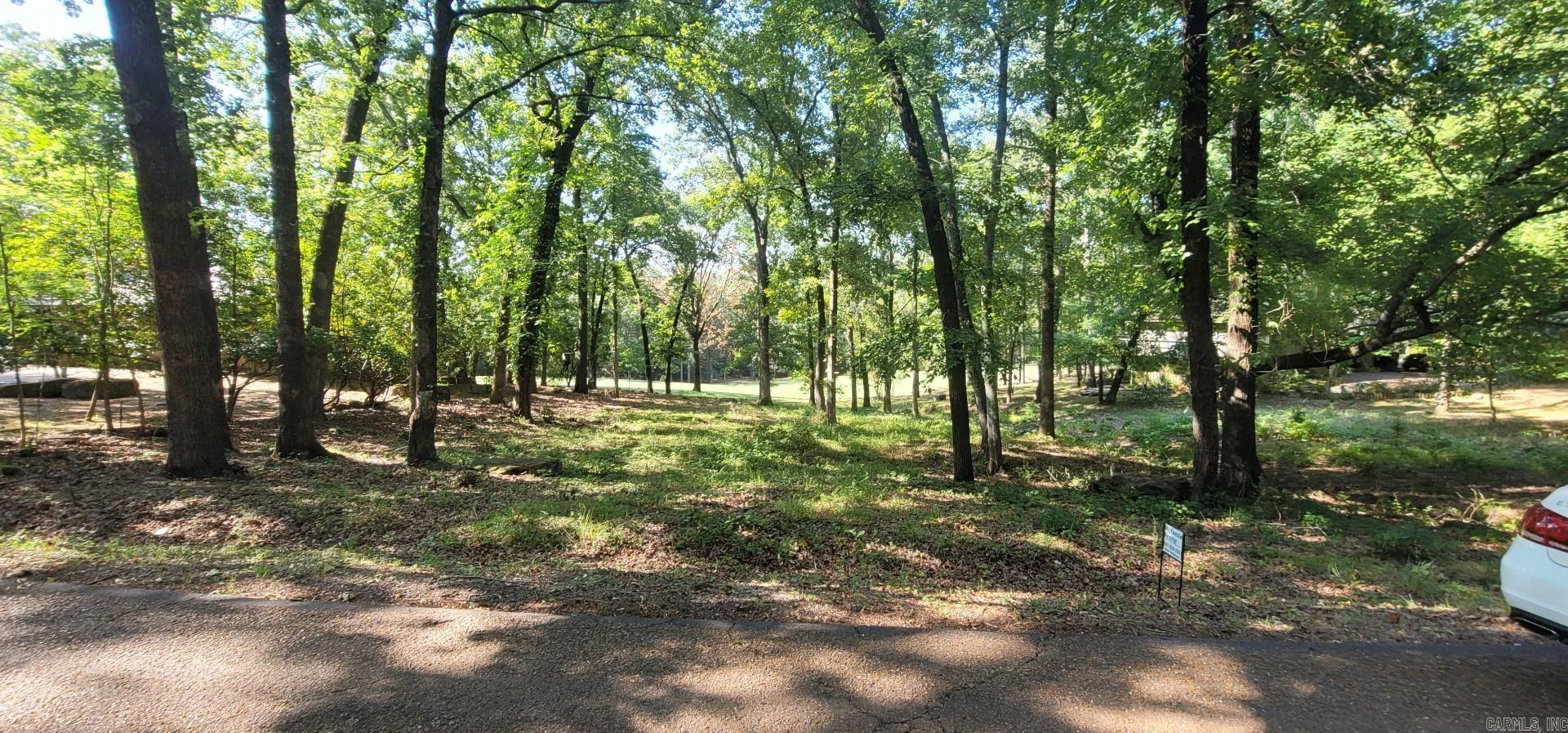 Lot 11 Birchbrook - Eden Isle  Heber Springs, AR