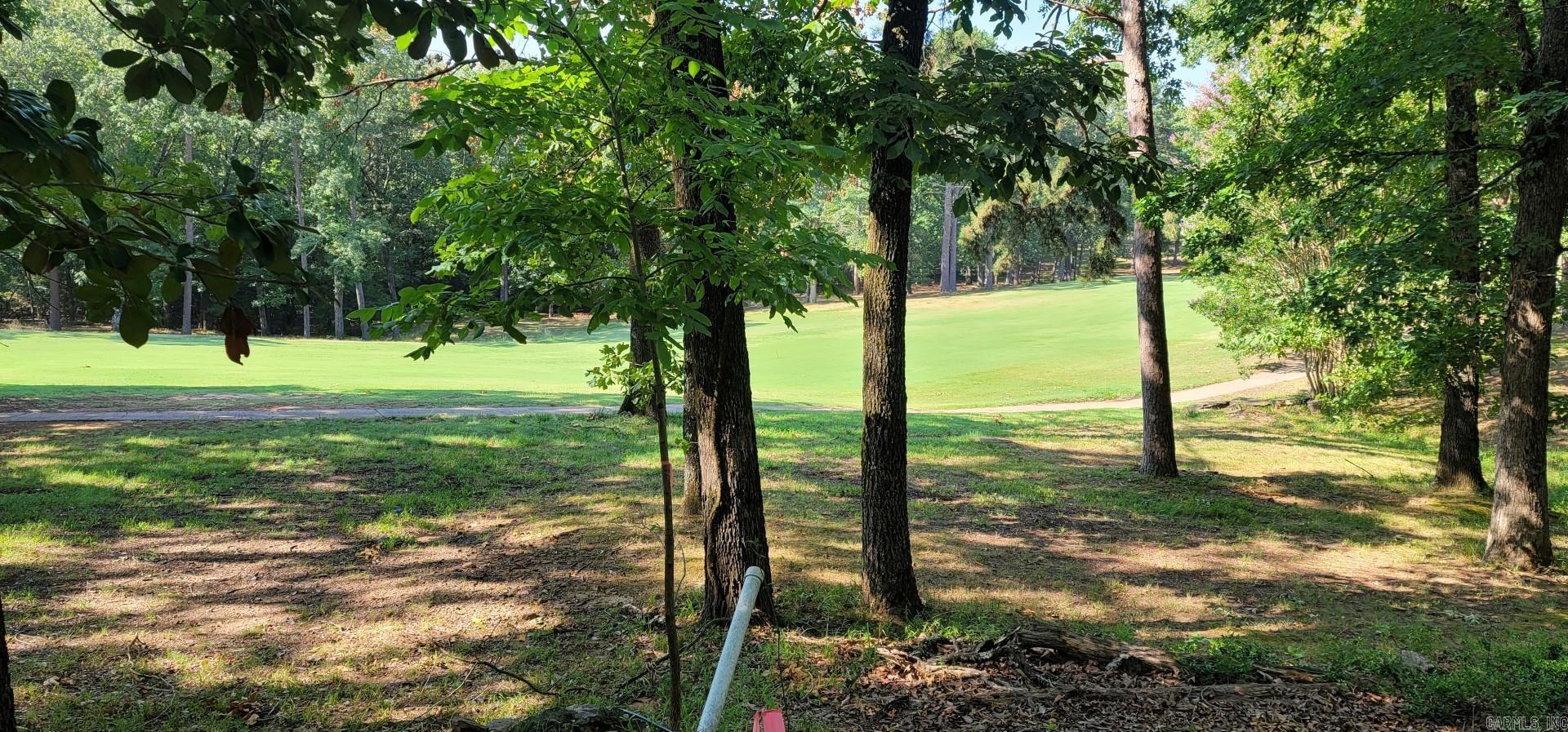 Lot 11 Birchbrook - Eden Isle  Heber Springs, AR