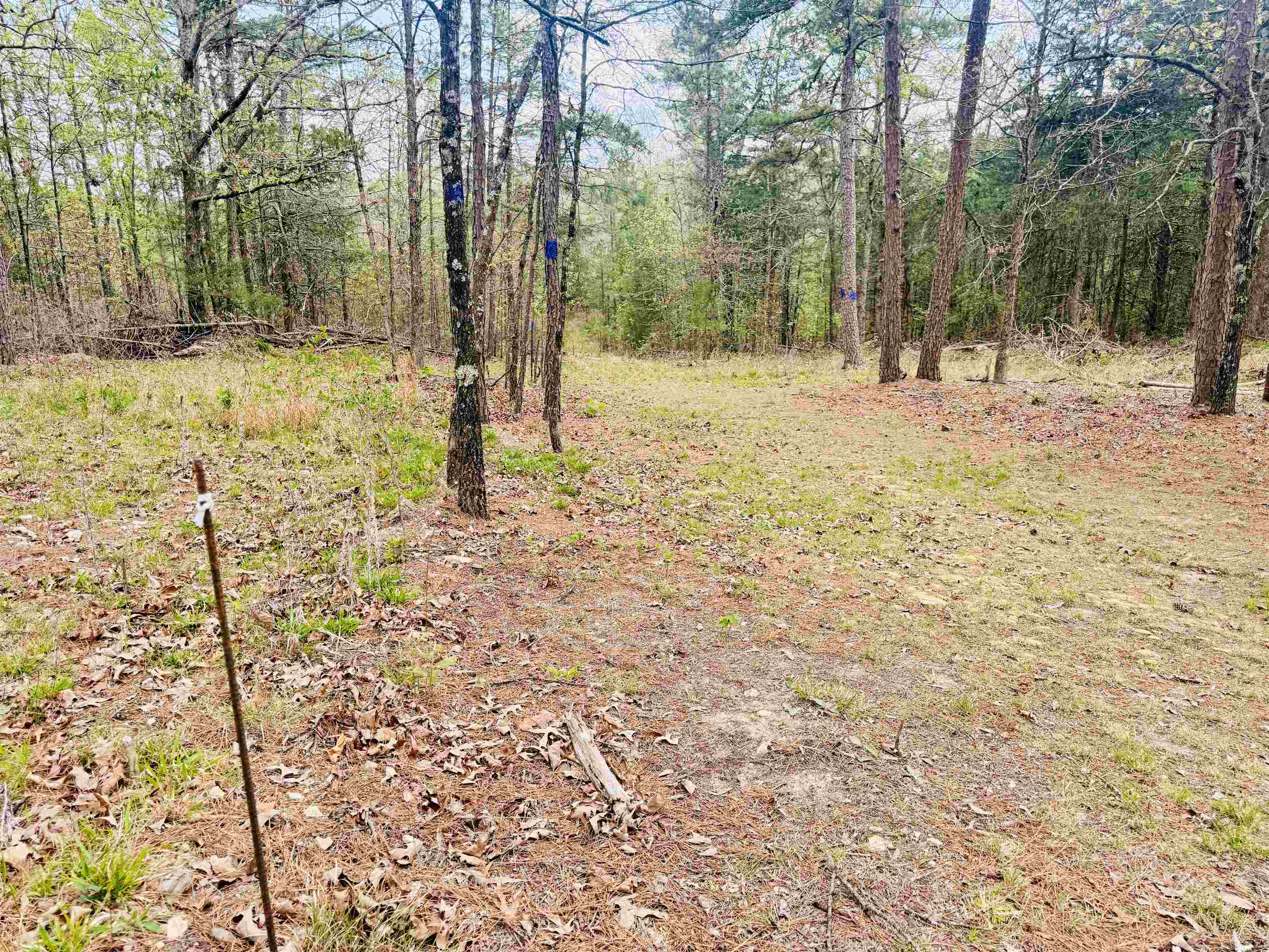 90 Potemdyke  Evening Shade, AR