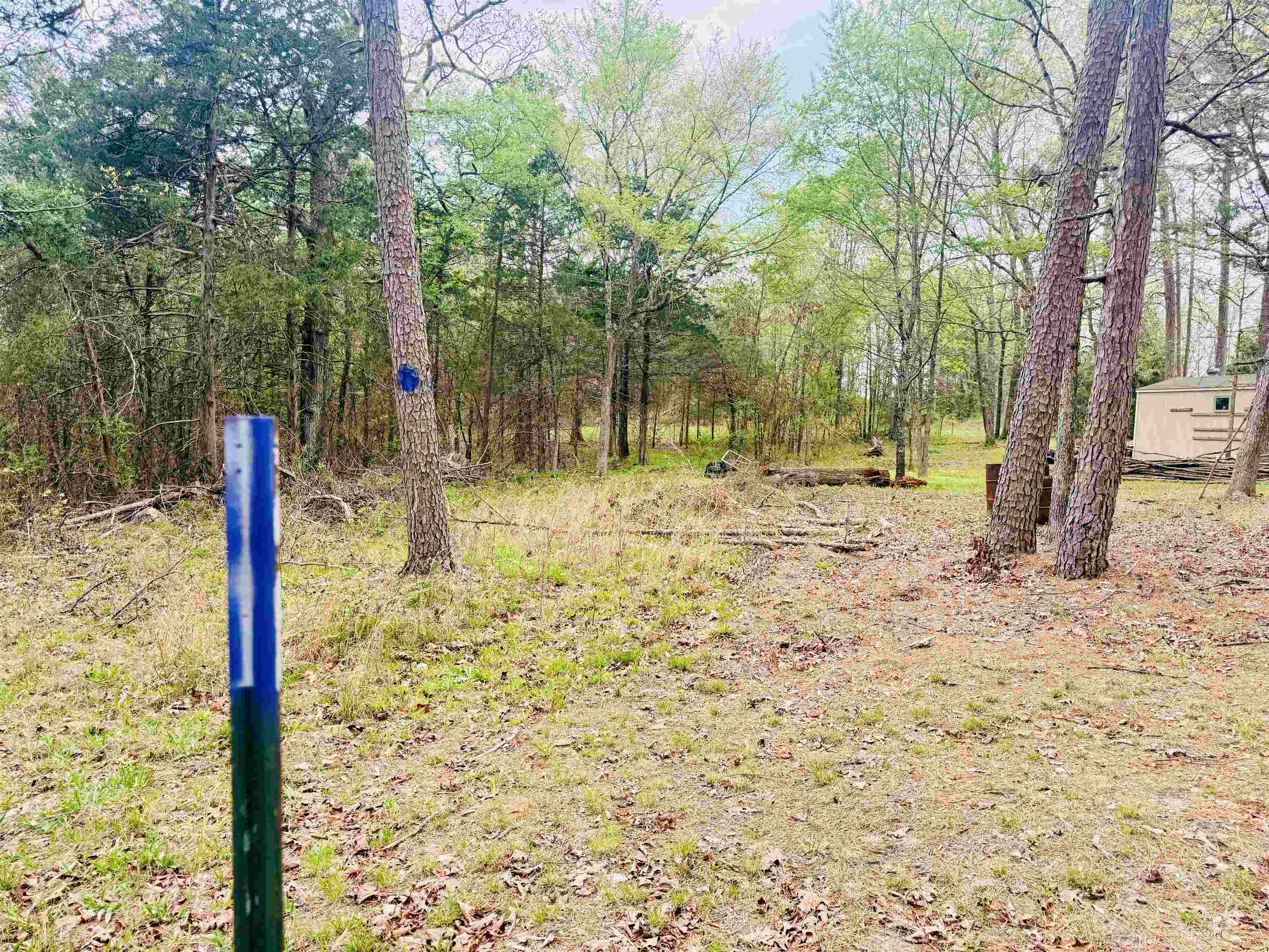 90 Potemdyke  Evening Shade, AR