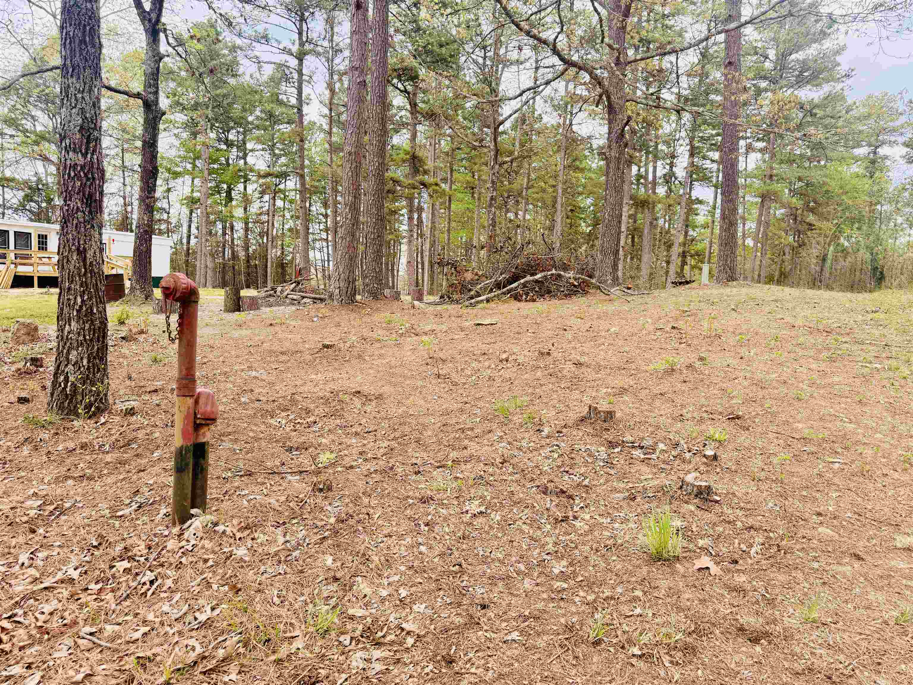 90 Potemdyke  Evening Shade, AR