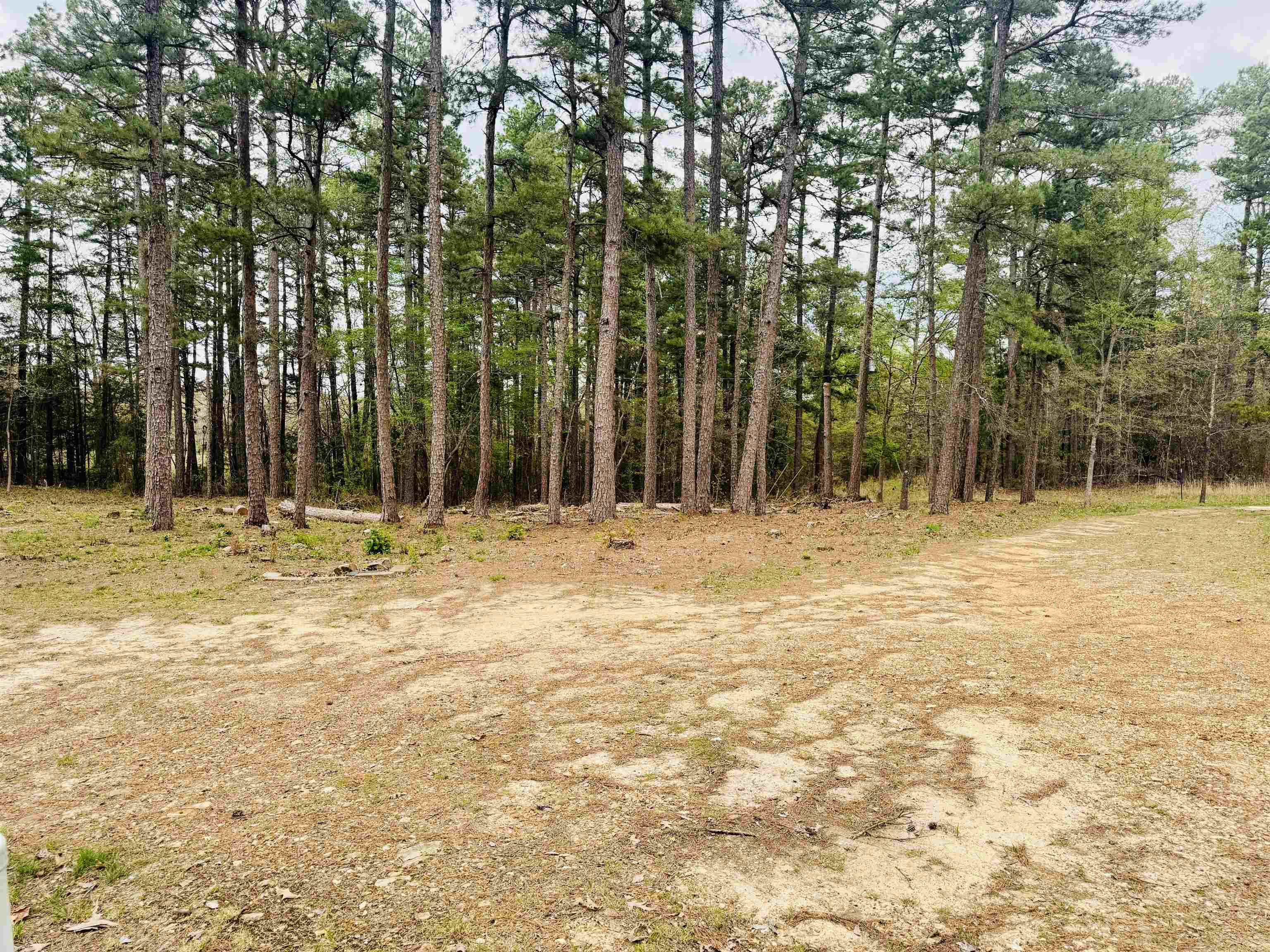 90 Potemdyke  Evening Shade, AR