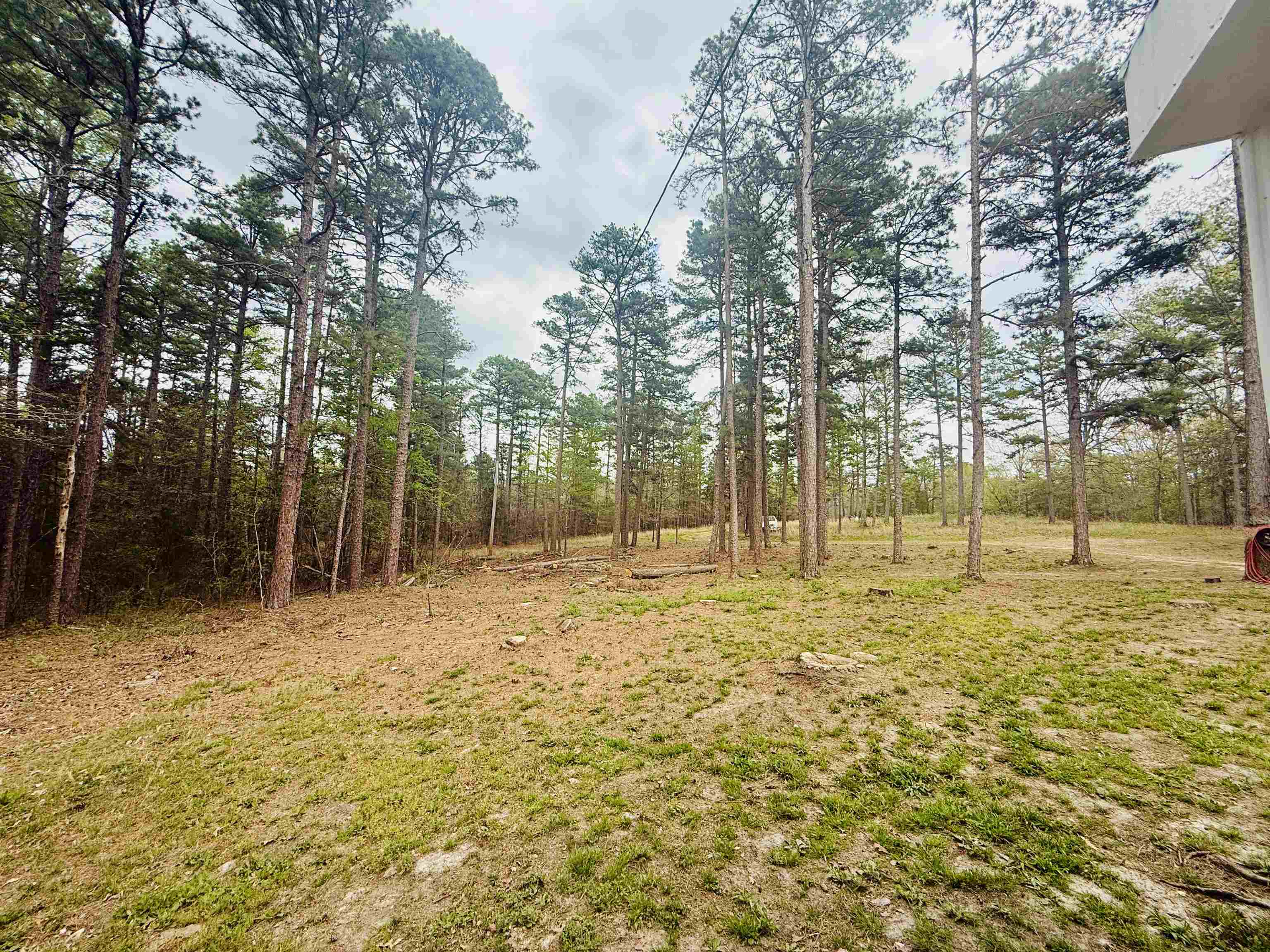 90 Potemdyke  Evening Shade, AR