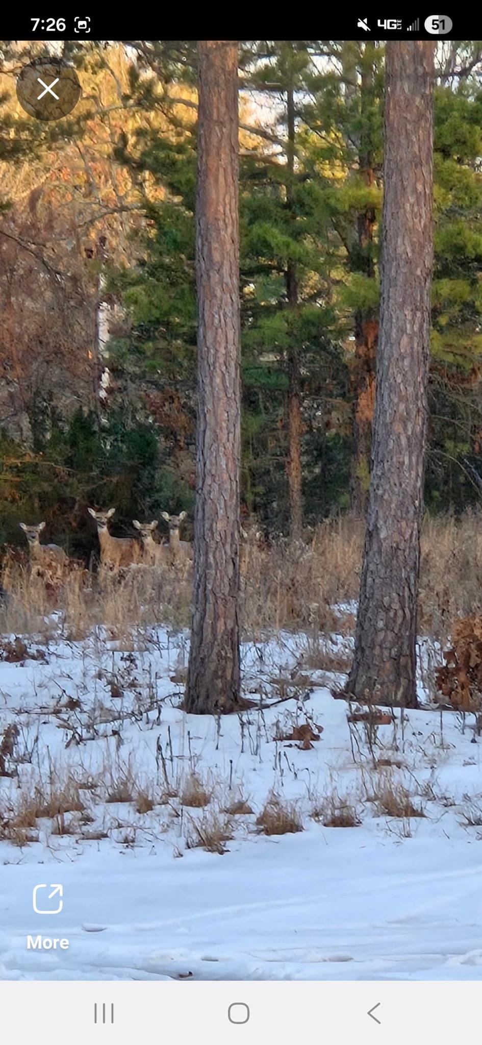 90 Potemdyke  Evening Shade, AR