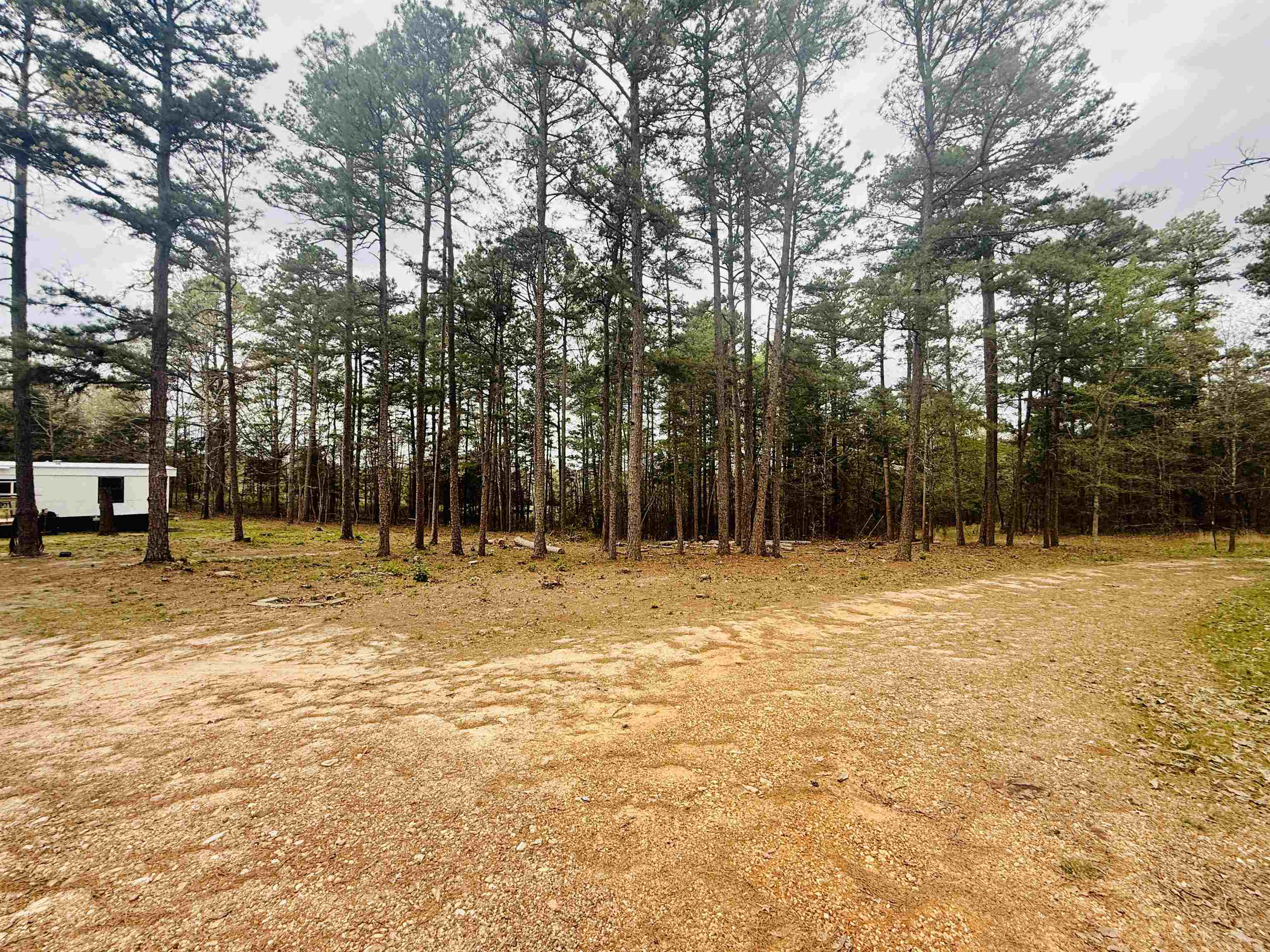 90 Potemdyke  Evening Shade, AR