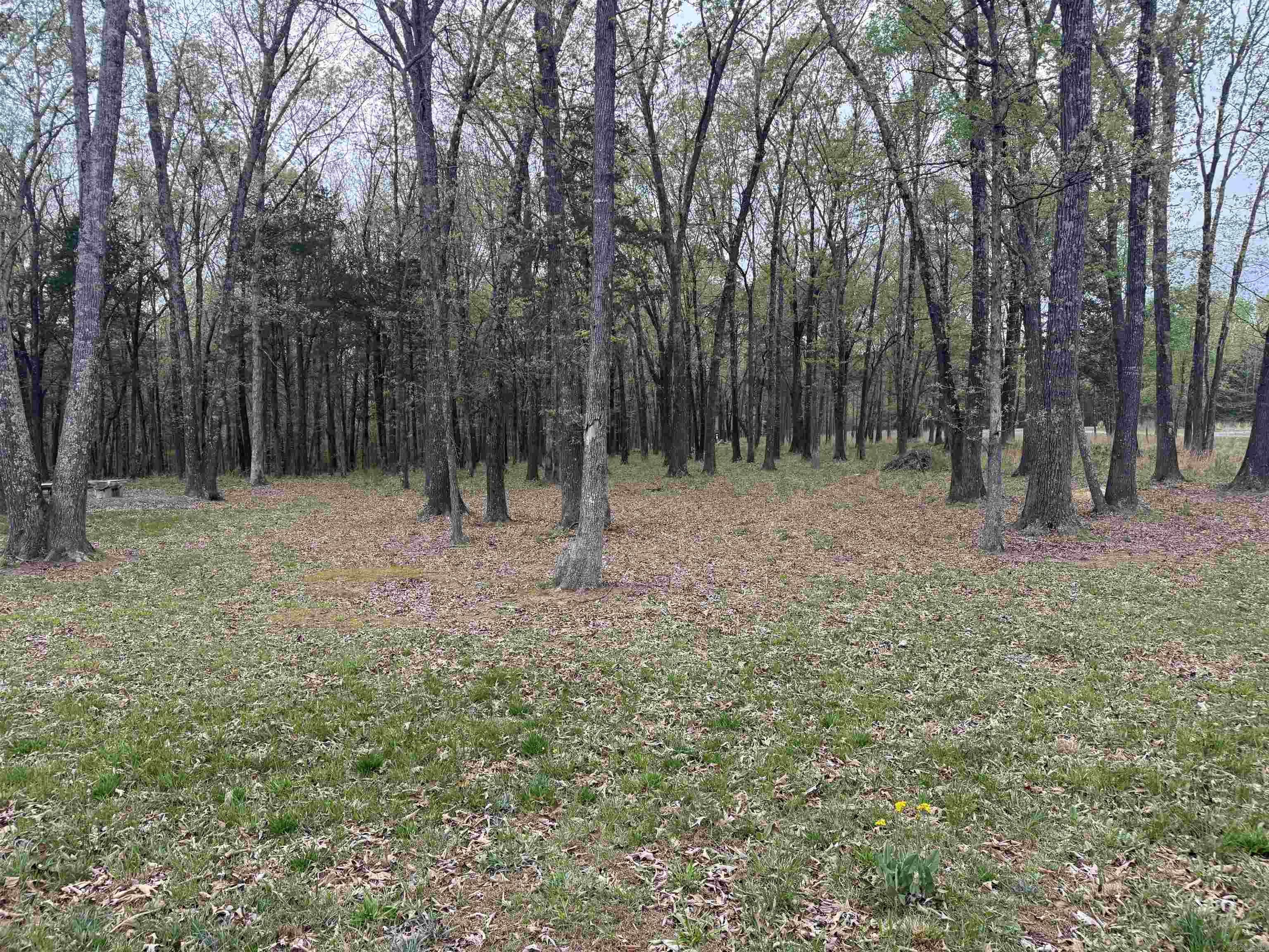 Lot 13 Shiloh Landing Pointe  Greers Ferry, AR
