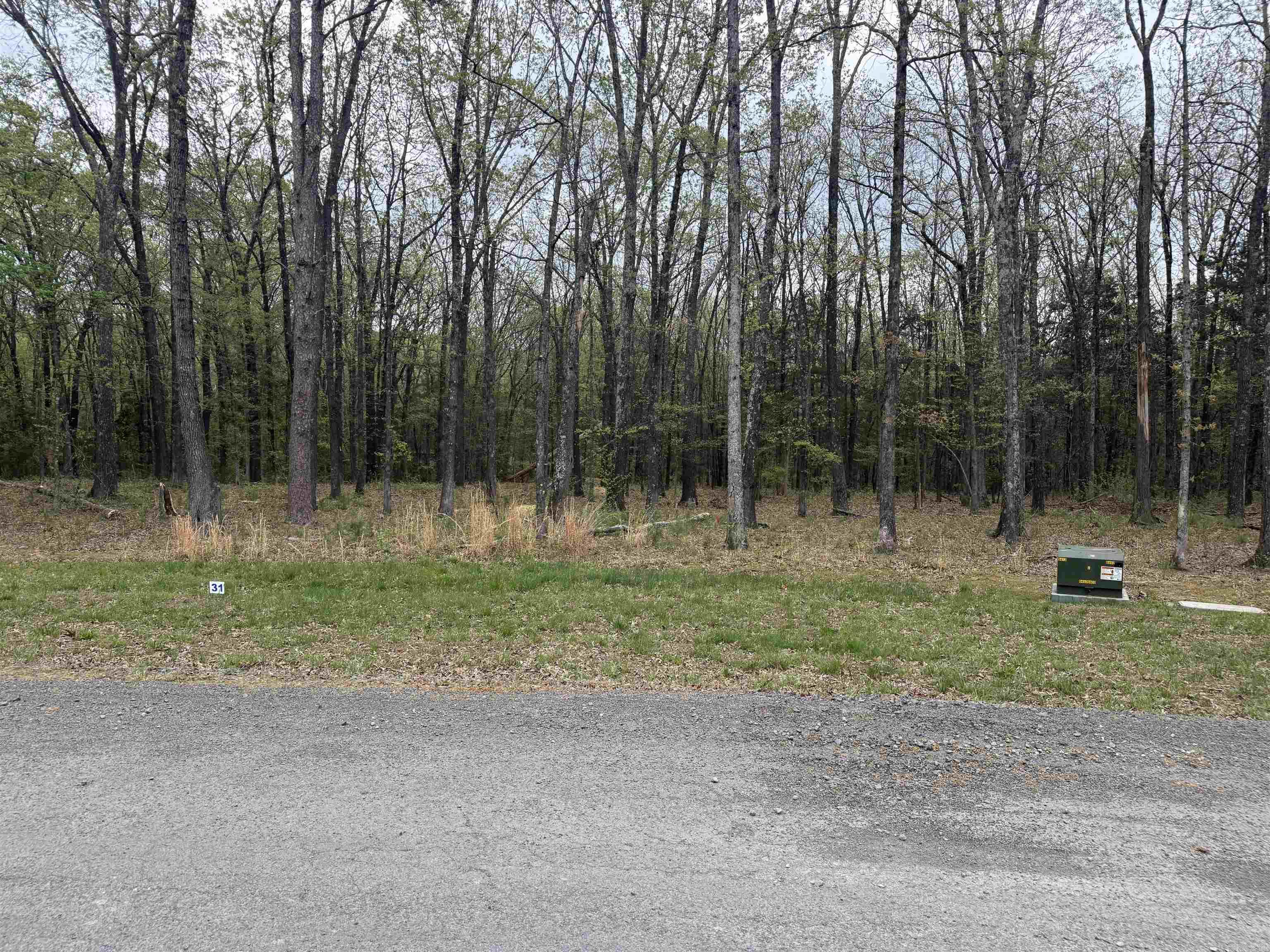 Lot 31 Shiloh Landing Pointe  Greers Ferry, AR