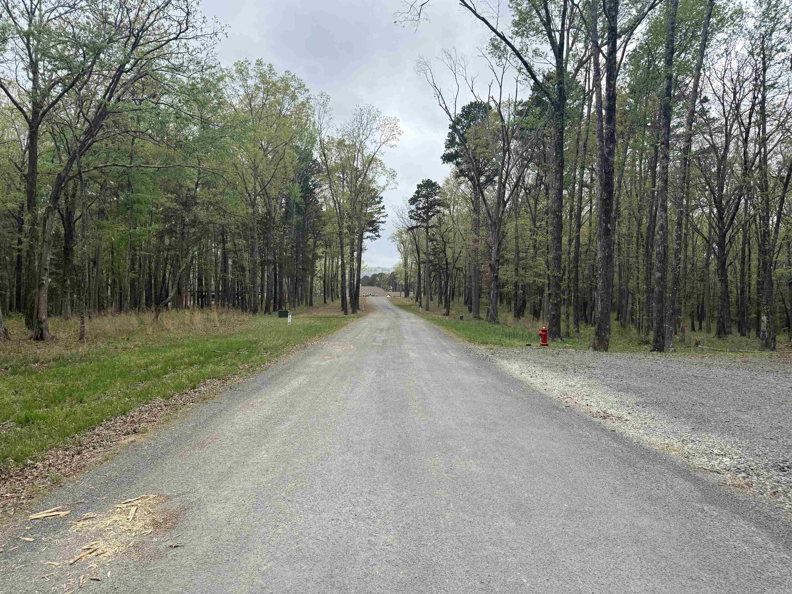 Lot 31 Shiloh Landing Pointe  Greers Ferry, AR