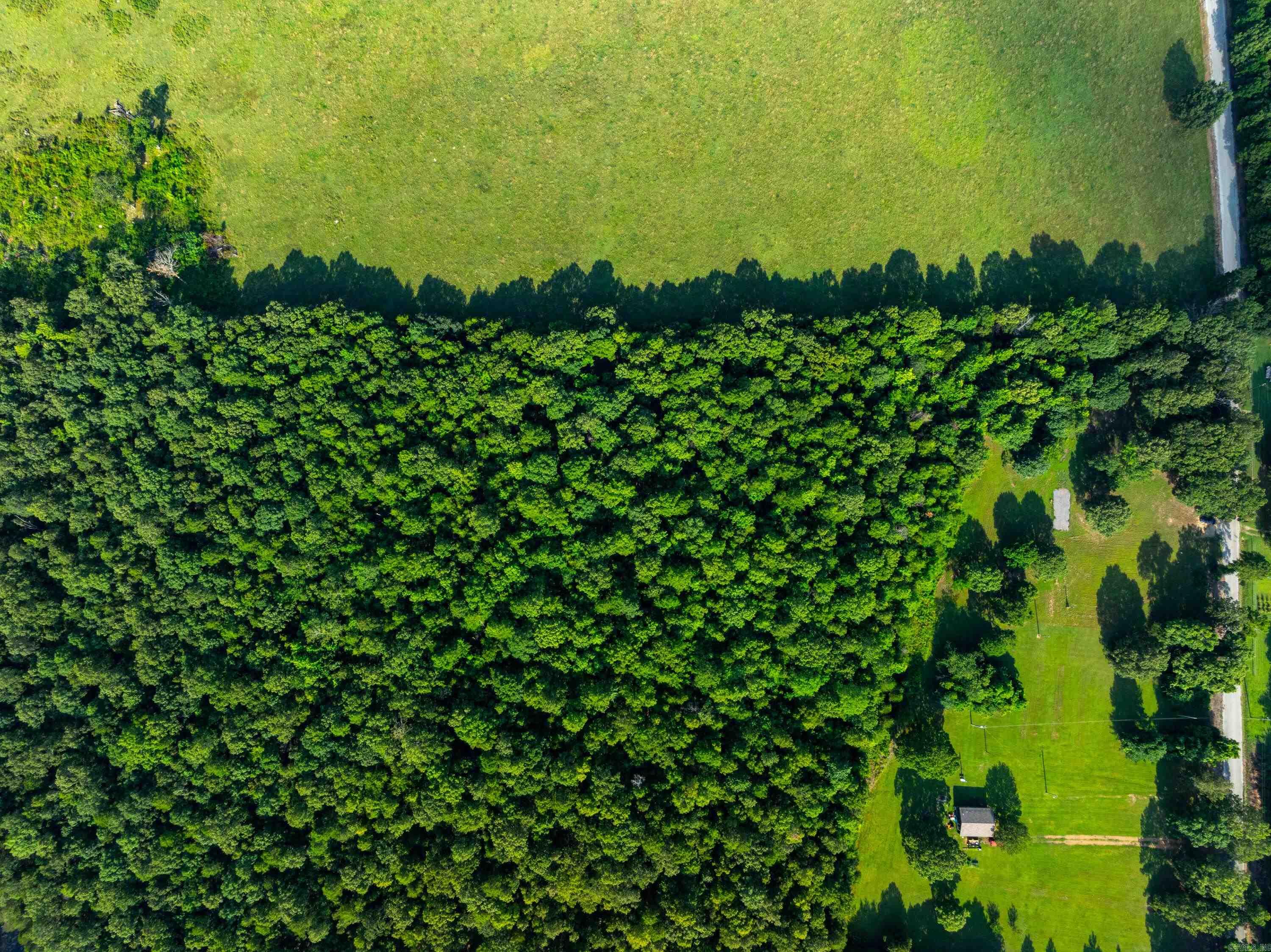 1410 Hideout  Pleasant Plains, AR