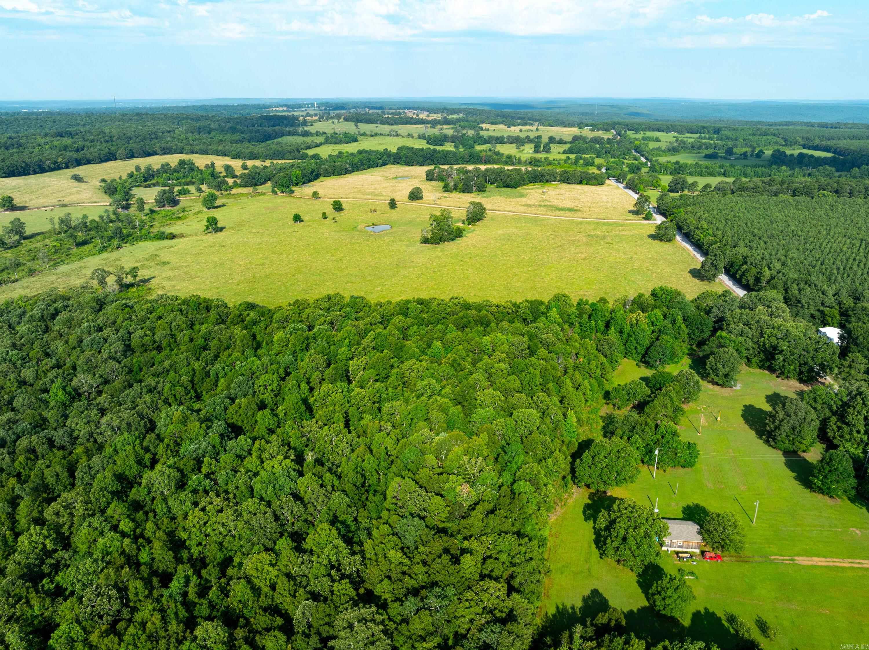 1410 Hideout  Pleasant Plains, AR