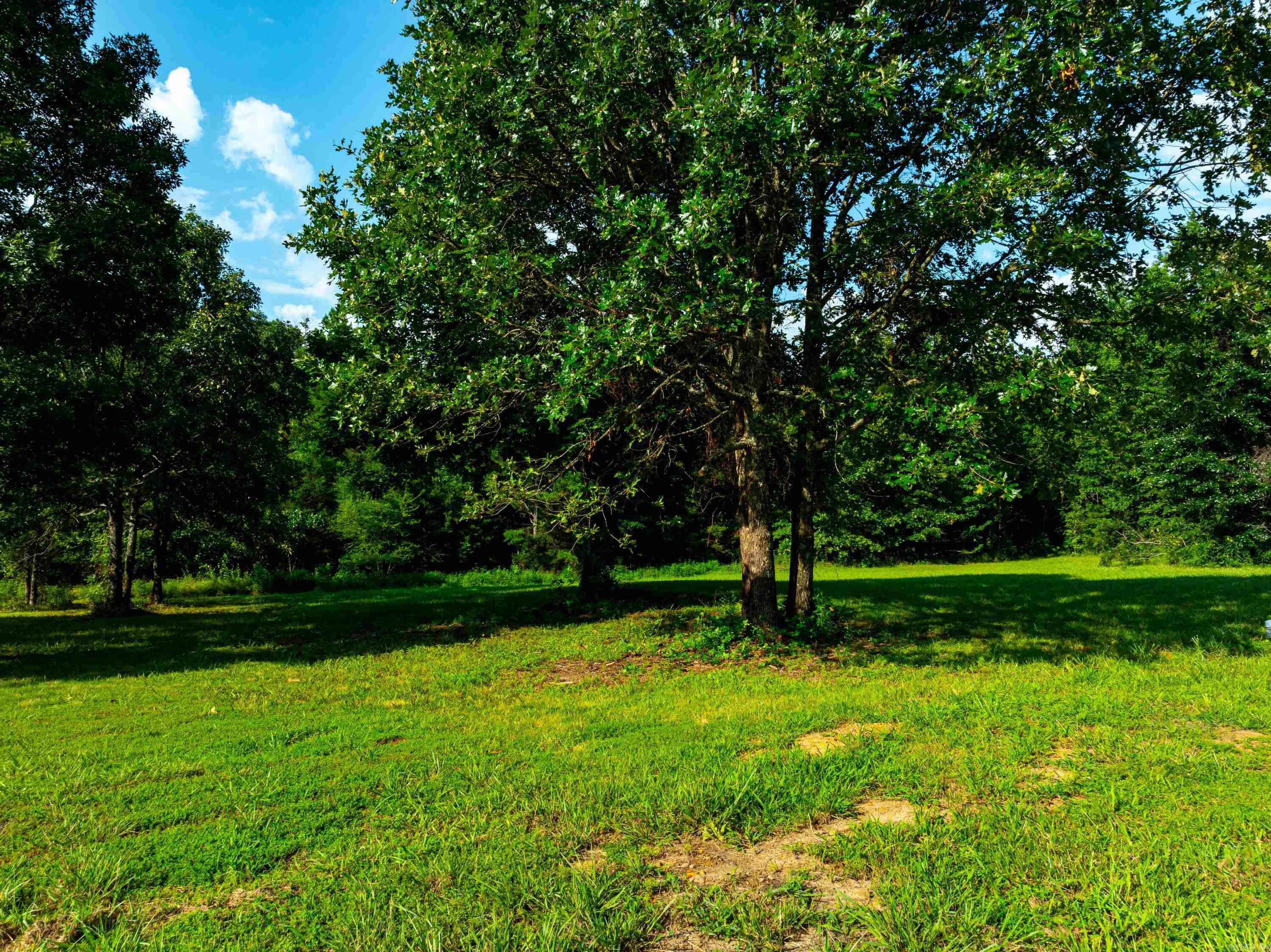 1410 Hideout  Pleasant Plains, AR