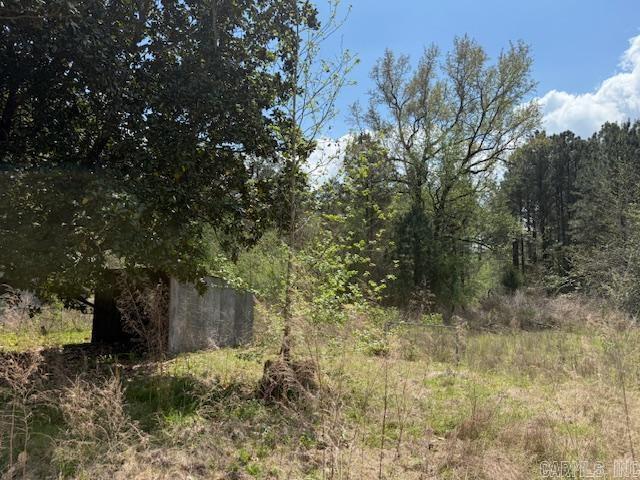 138 Bailey Town  Haynesville, LA