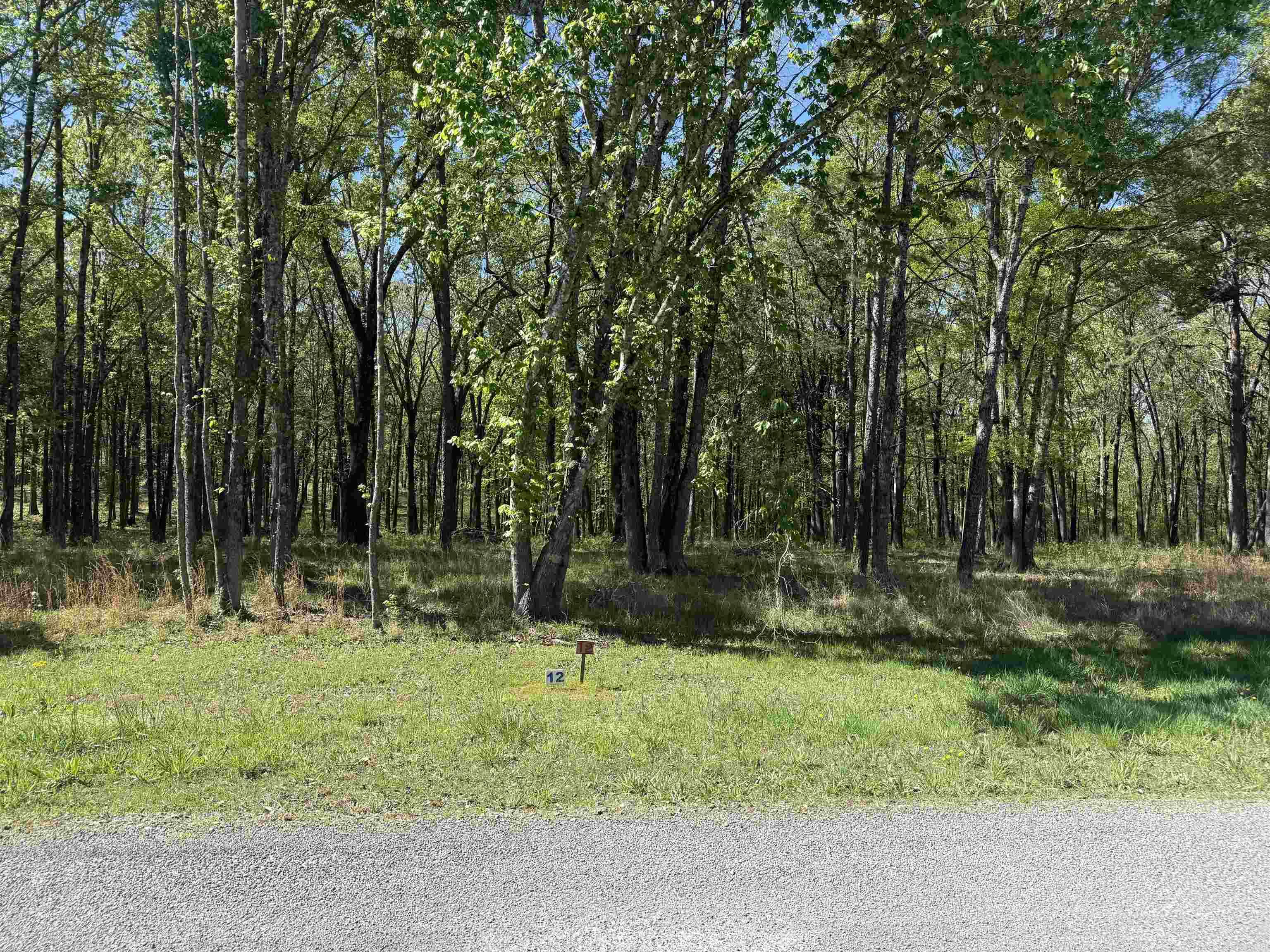 Lot 12 Shiloh Landing Pointe  Greers Ferry, AR