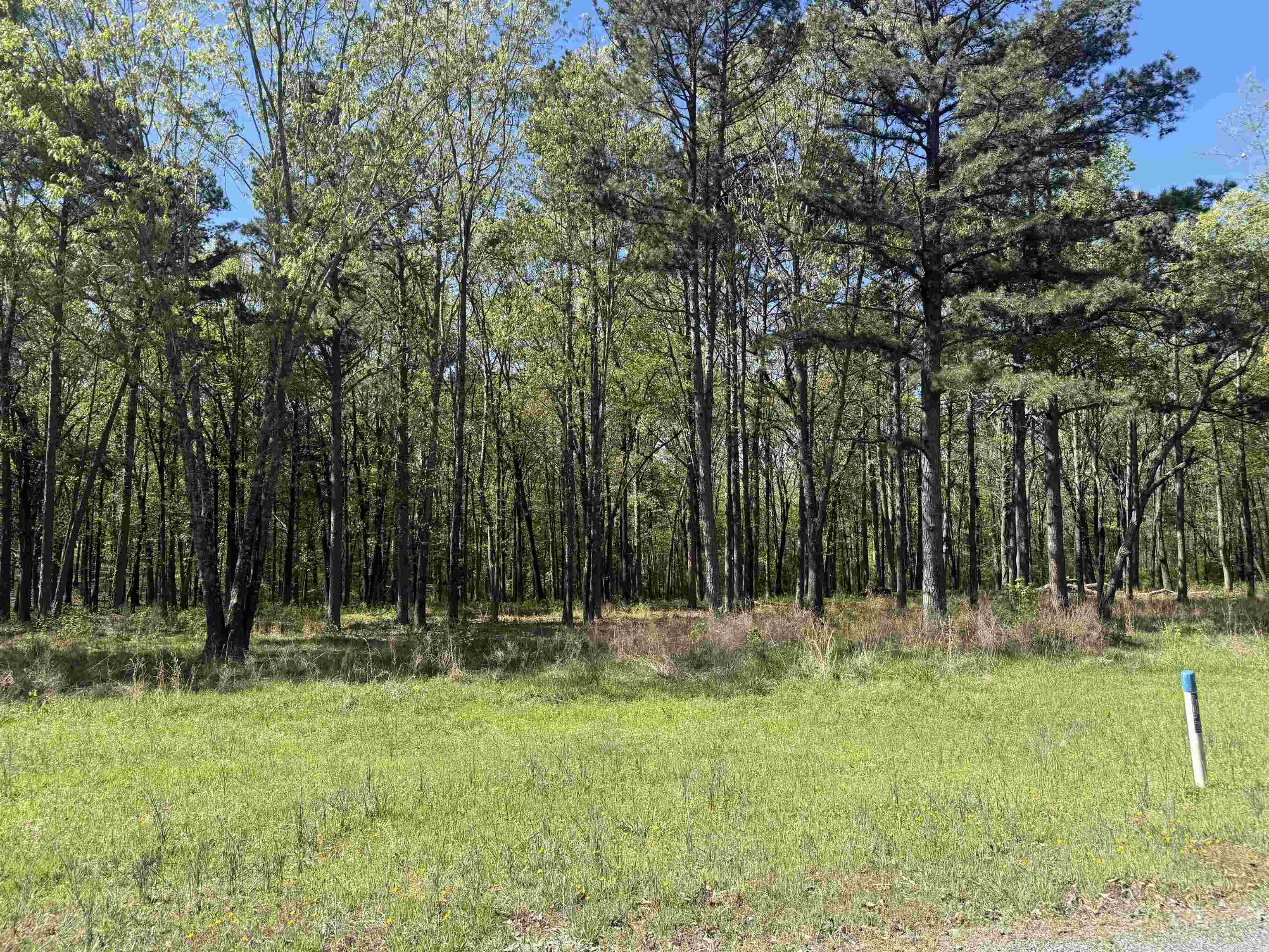 Lot 10 Shiloh Landing Pointe  Greers Ferry, AR