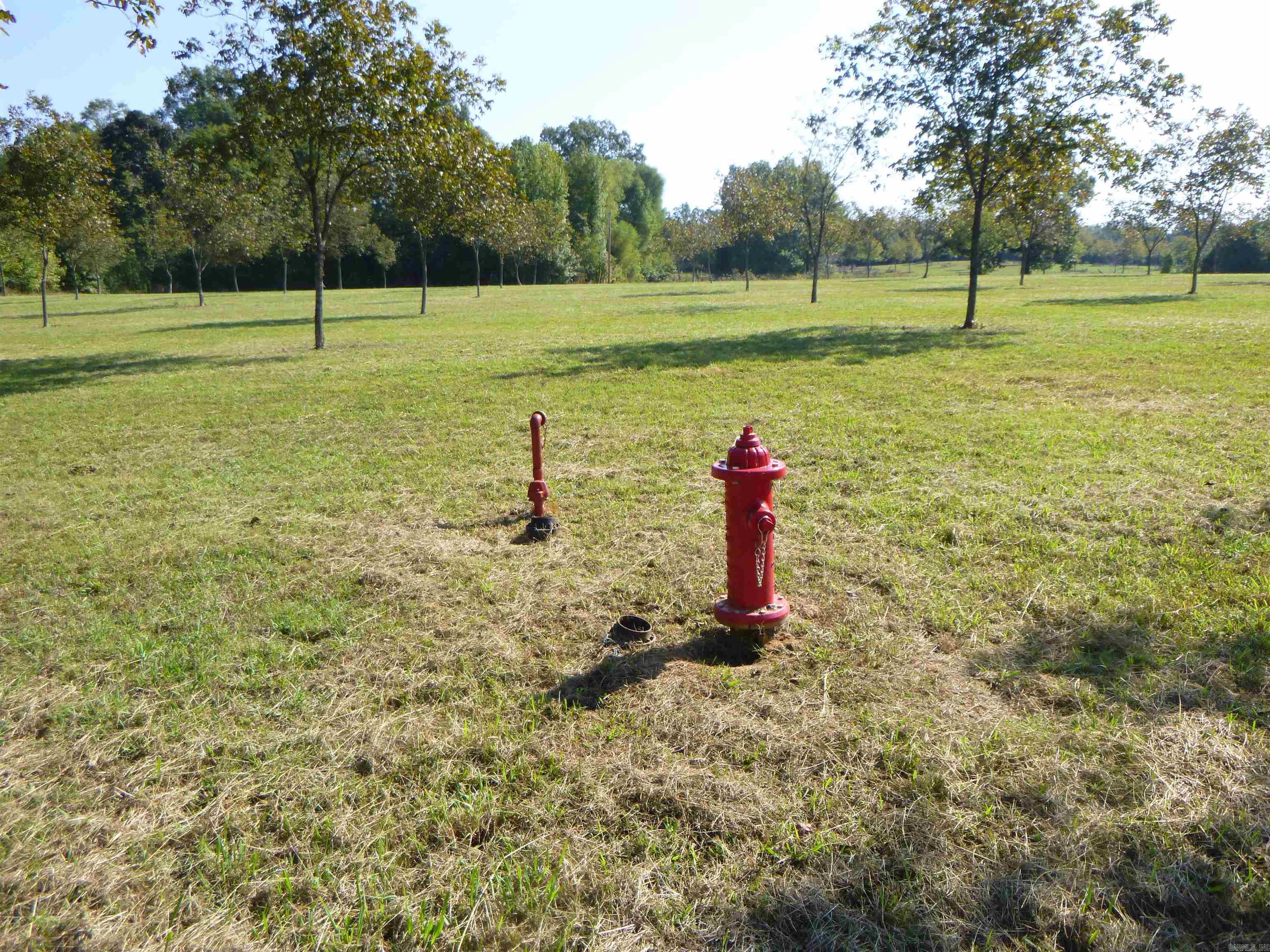 4231 Hwy 337 E Pecan Point  Heber Springs, AR