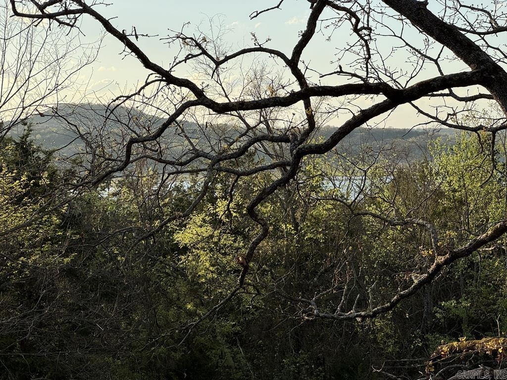 285 MC 2035  Lead Hill, AR