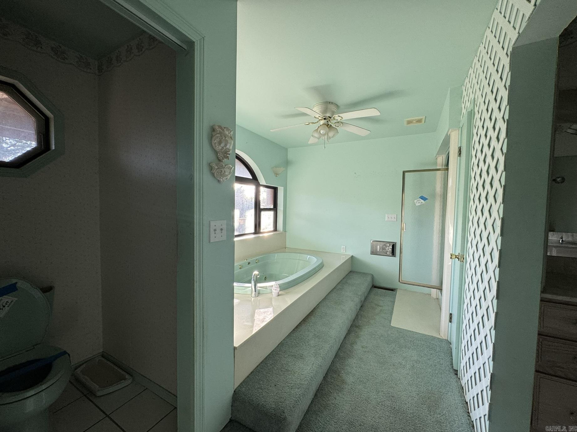 285 MC 2035  Lead Hill, AR