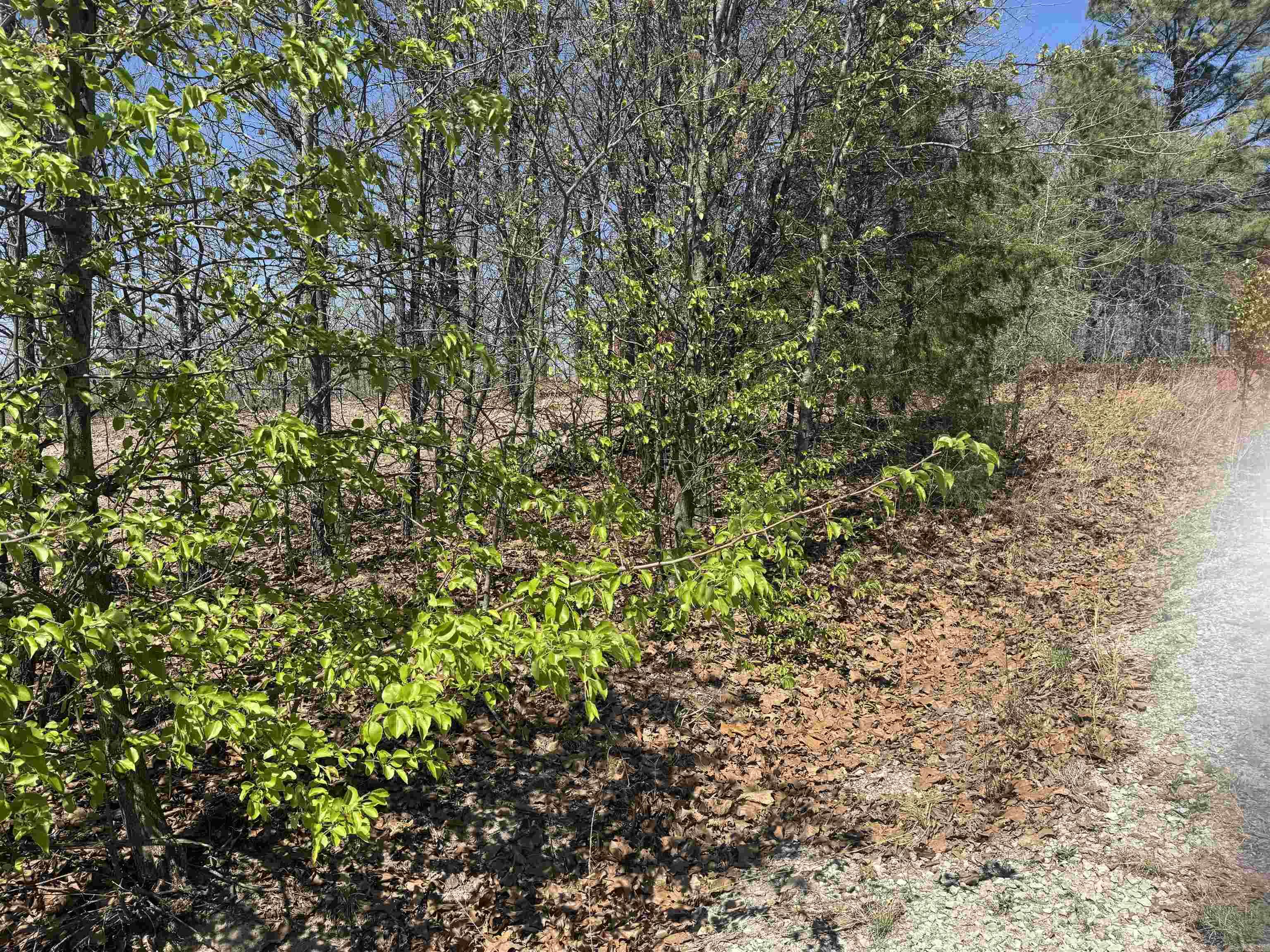 Lots 23 & 24 OAK SUMMIT  Mountain Home, AR