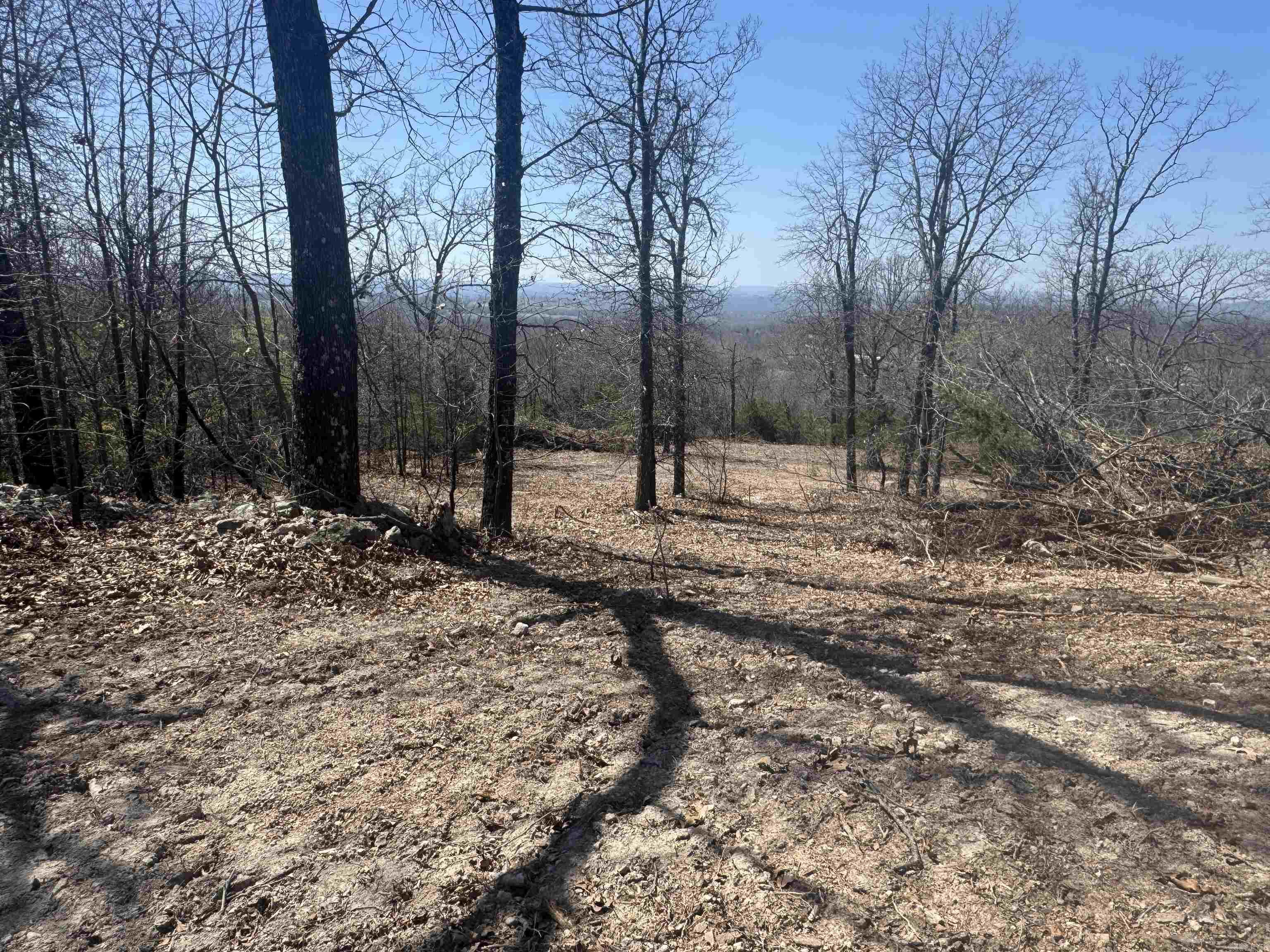 Lots 23 & 24 OAK SUMMIT  Mountain Home, AR