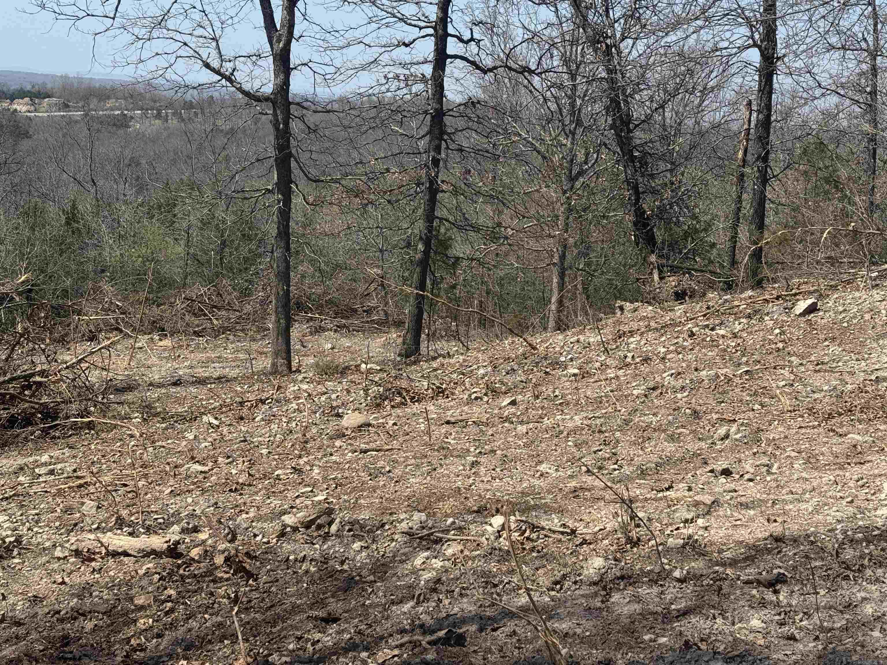 Lots 23 & 24 OAK SUMMIT  Mountain Home, AR