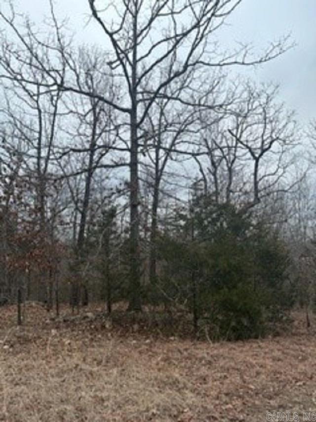 Lot 14 Buckhead Lane  Mountain Home, AR